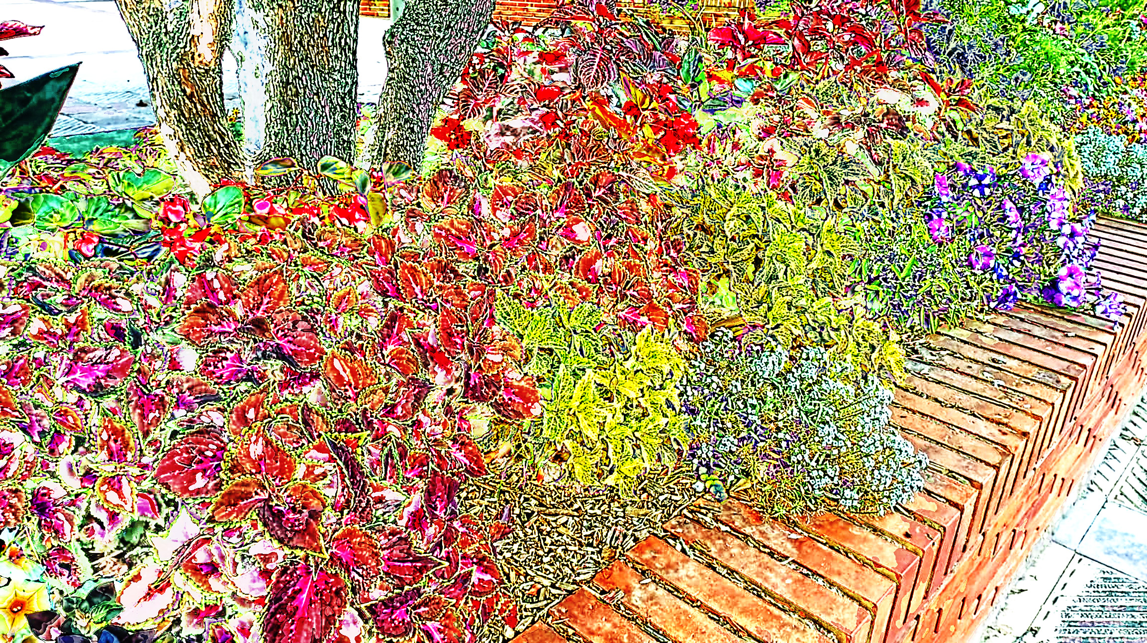 cc35652b-39ec-4fa5-9beb_DN_Artistic_and_Divide_CutOut.JPG