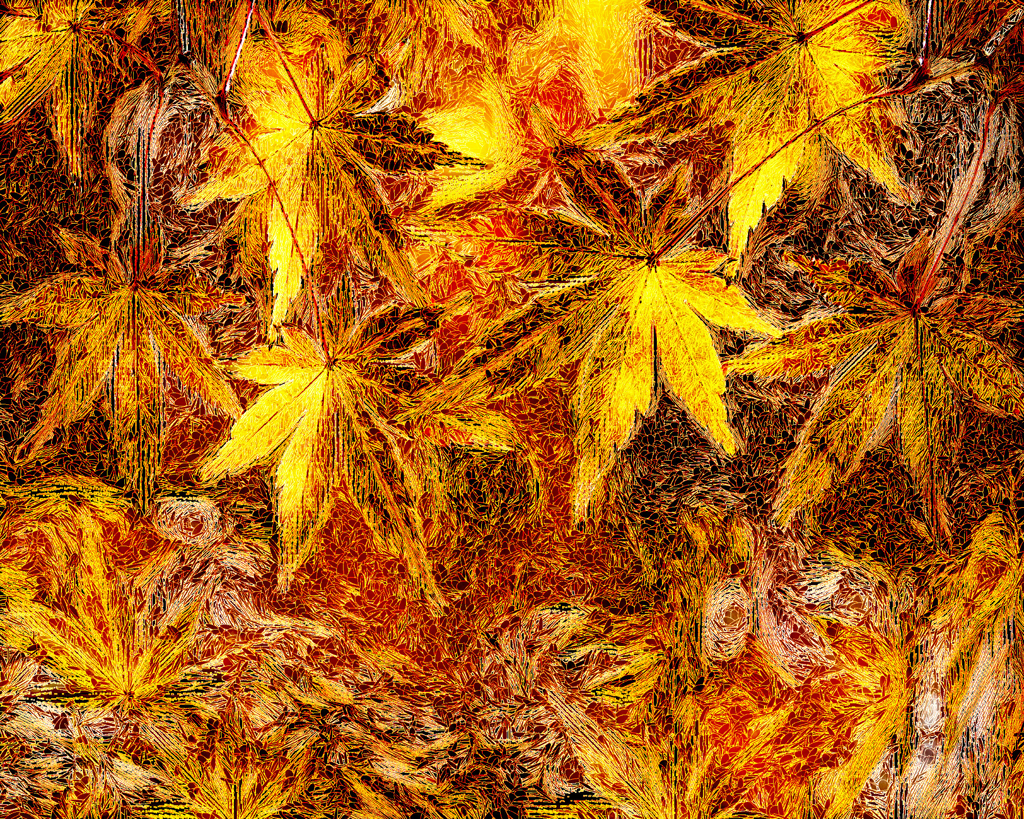 dry-leaves-4968705_DN_Artistic_and_Divide_DiffTensors.JPG