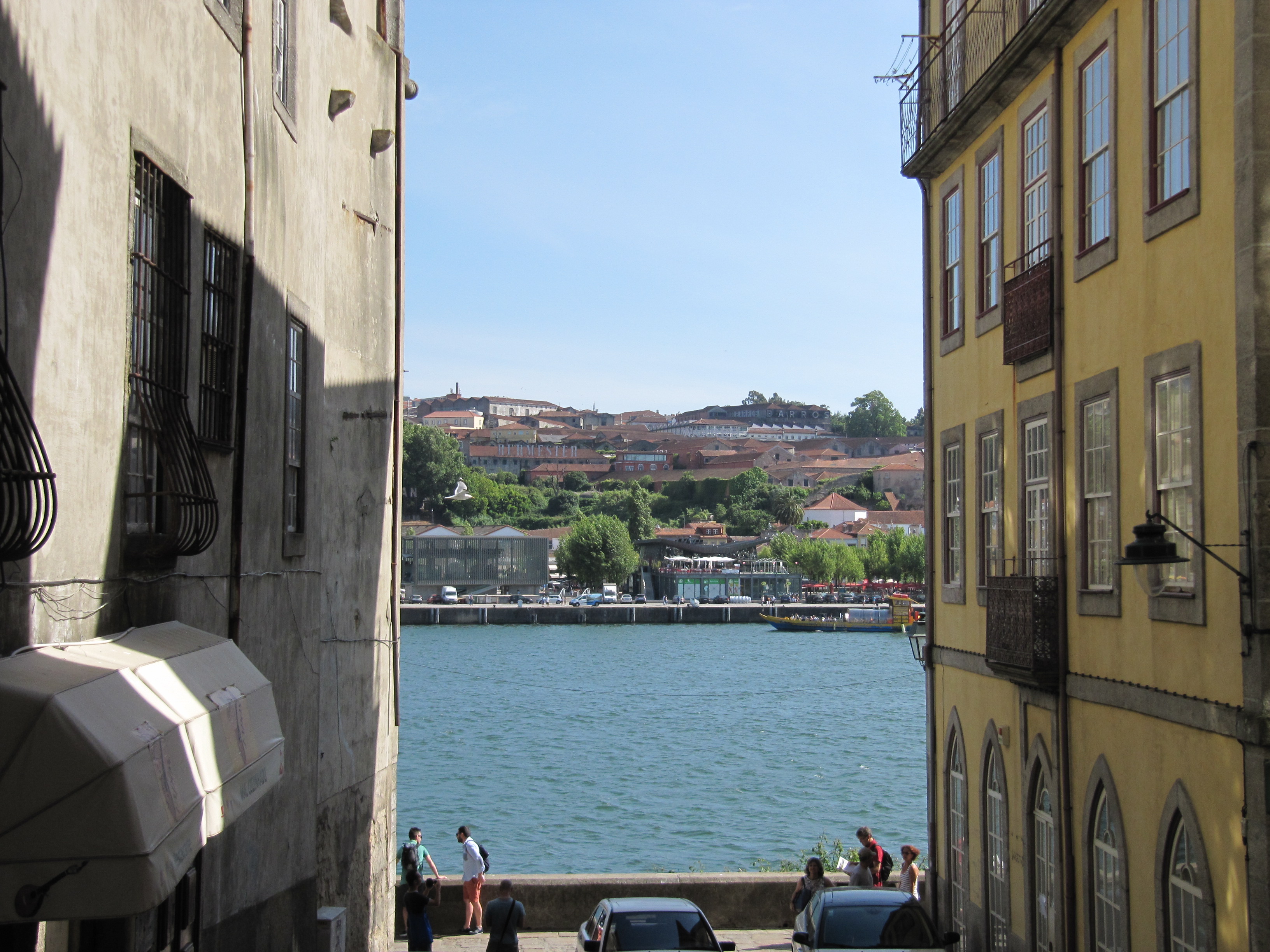 IMG_4165.JPG
