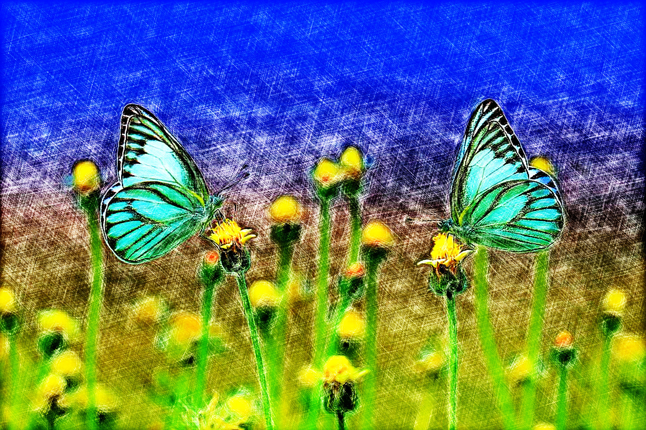 2023-08-05 08-28-52butterflies-1127666_960_720 with an Artistic&Divide effect, style Sketch (prep.step choosen=DCP Dehaze (good for light image..jpeg