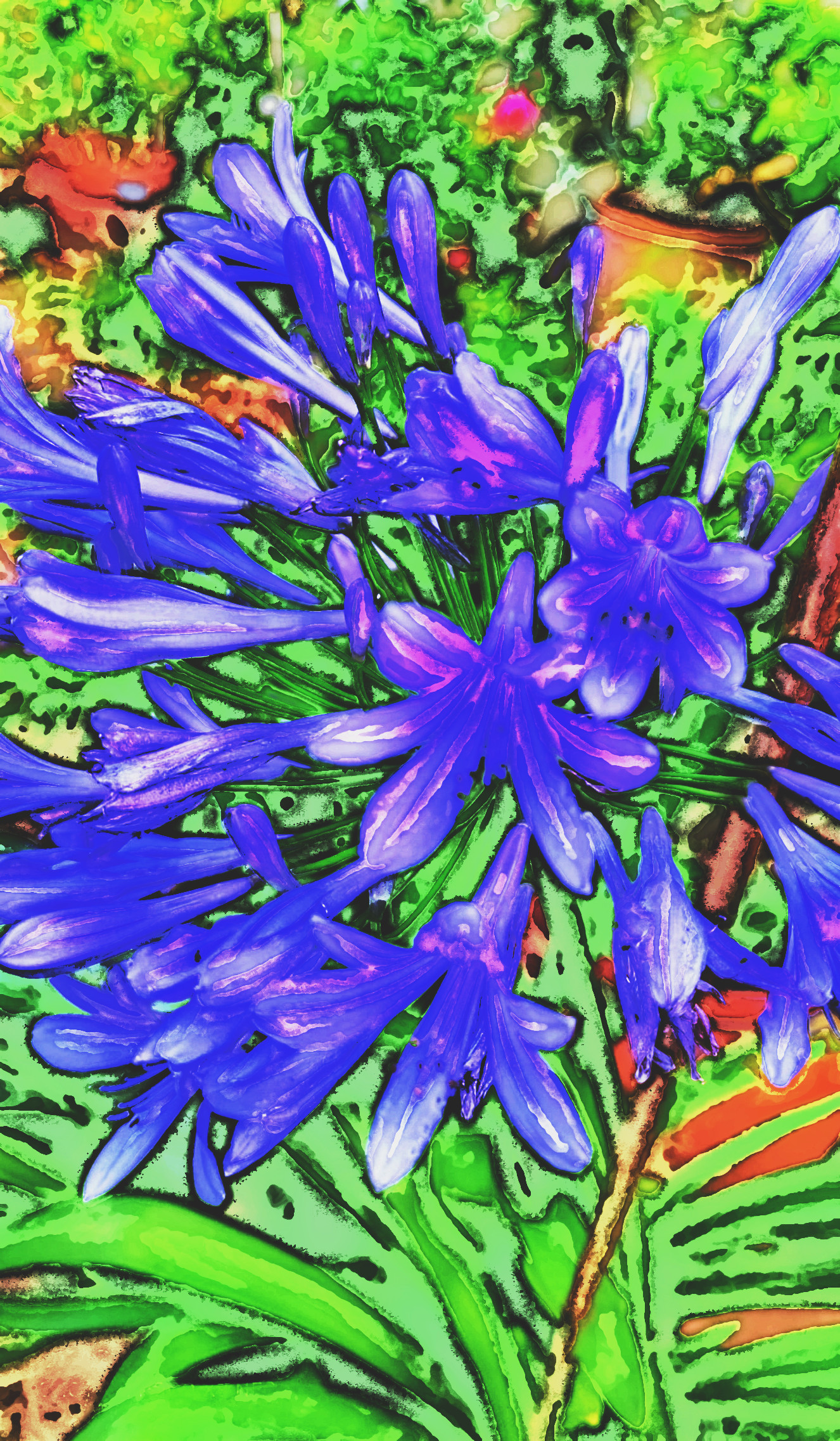 77dfb647-ed77-4341-8a4e-d4cabe835a88_LocalProcessingEqualize_DN_Artistic_and_Divide_Morphopaint.JPG