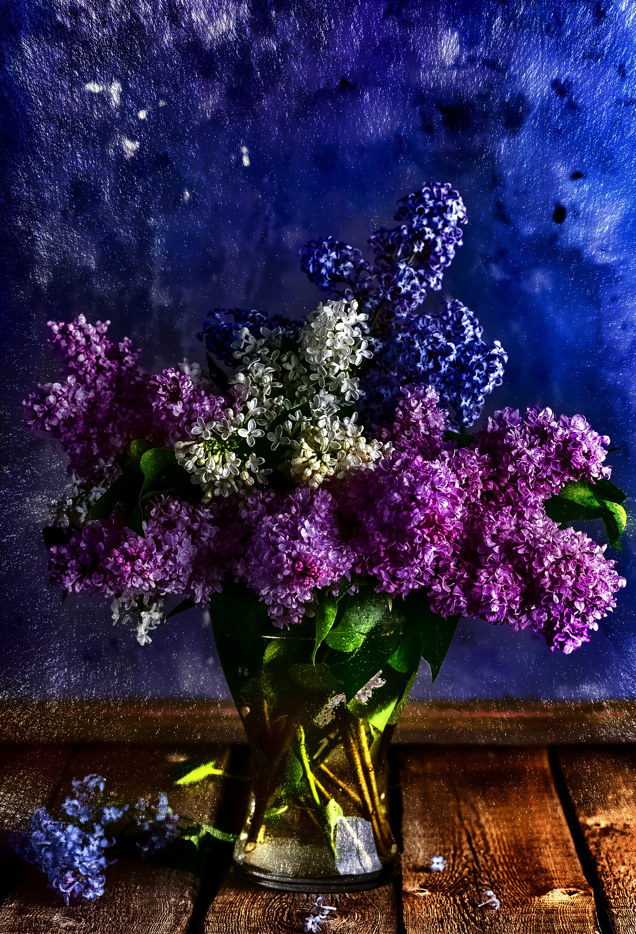 lilacs-gb1fd9e4f1_1920-Artistic&Divide-BCGraffiti-Local Processing (Equalize).jpg