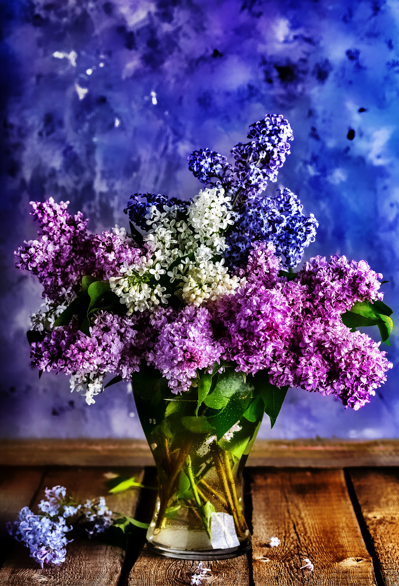 lilacs-gb1fd9e4f1_1920-Artistic&Divide-IllustrationLook-Local Processing (Equalize).jpg