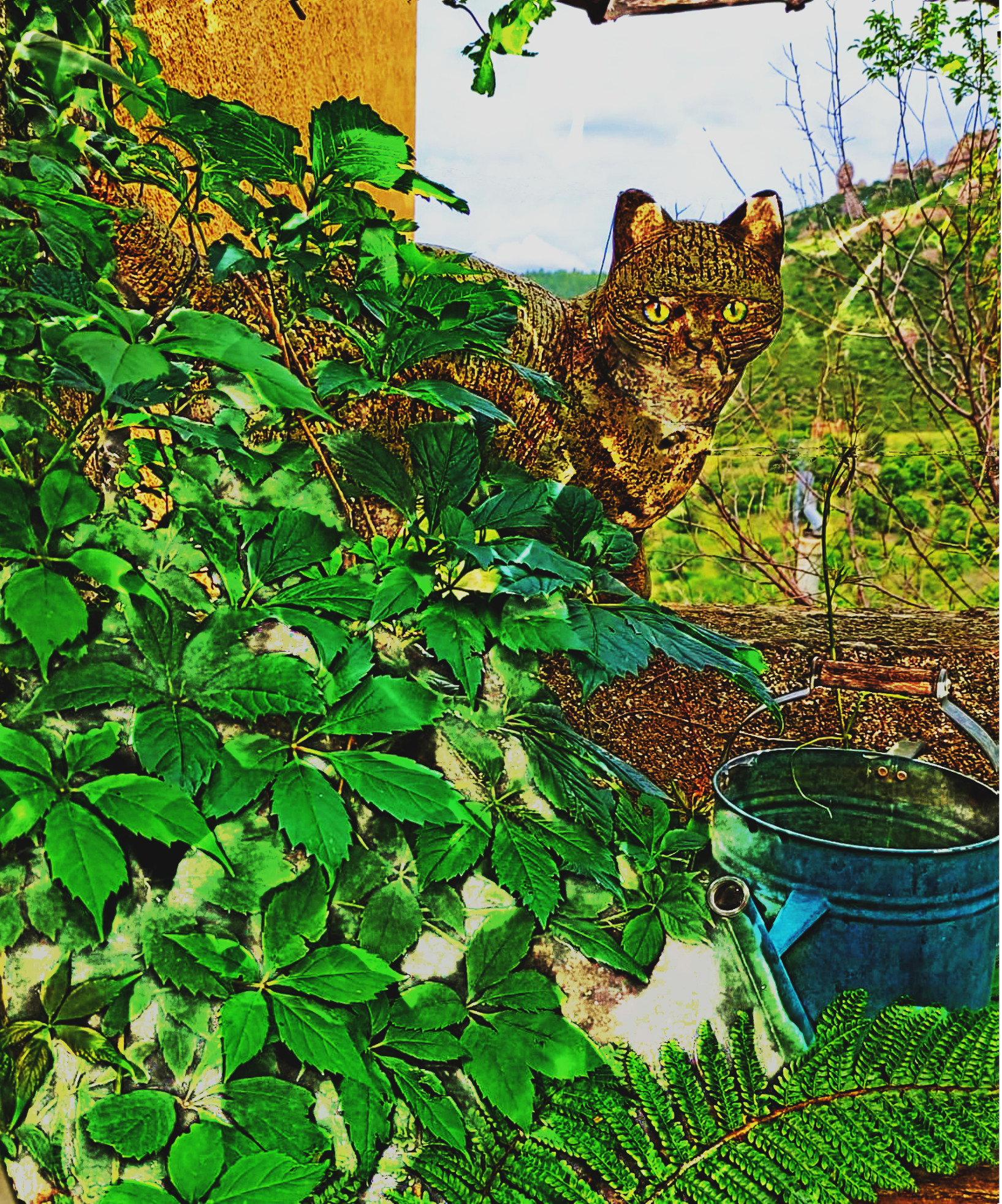 32e3a072-61eb-Cat_LocalProcessingEqualize_DN_Artistic_and_Divide_Stylize_30.JPG