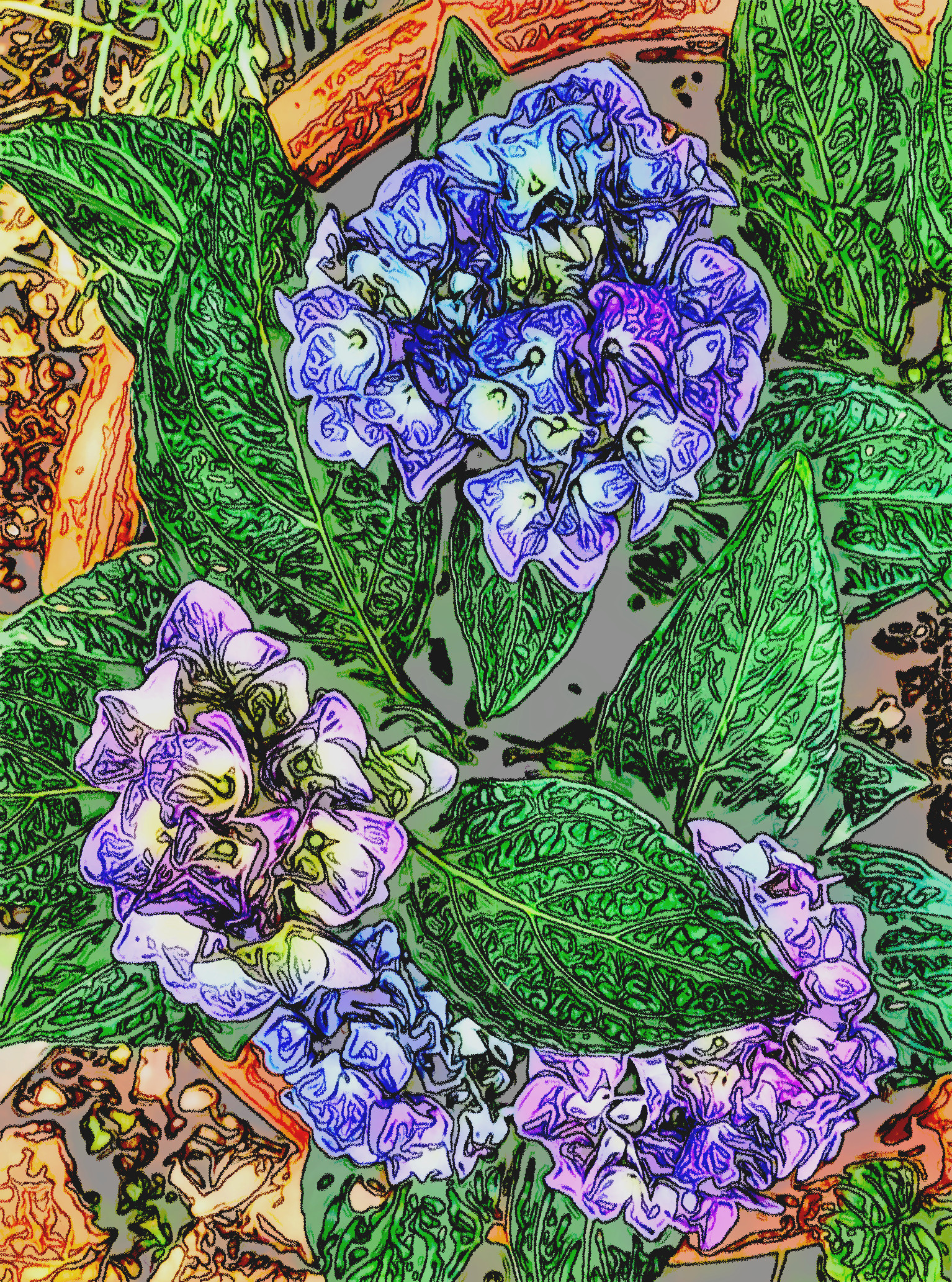 Hortensia-80f41fbc-e932-4471_LocalProcessingNormalization_DN_Artistic_and_Divide_ChalkItup.JPG