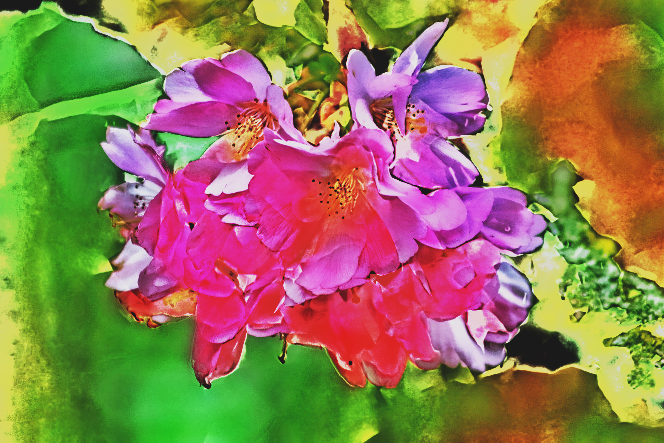 cherry-blossoms-7927688_LocalProcessingEqualize_DN_Artistic_and_Divide_Stylize.JPG