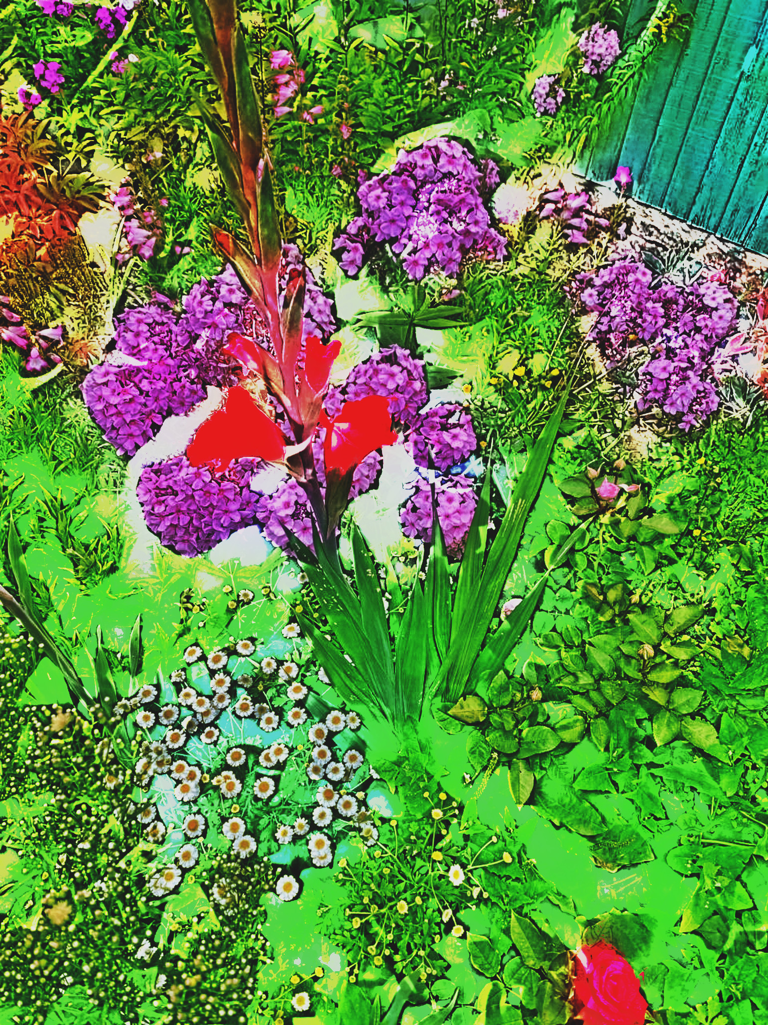 IMG_8463_DN_Artistic_and_Divide_Stylize.JPG