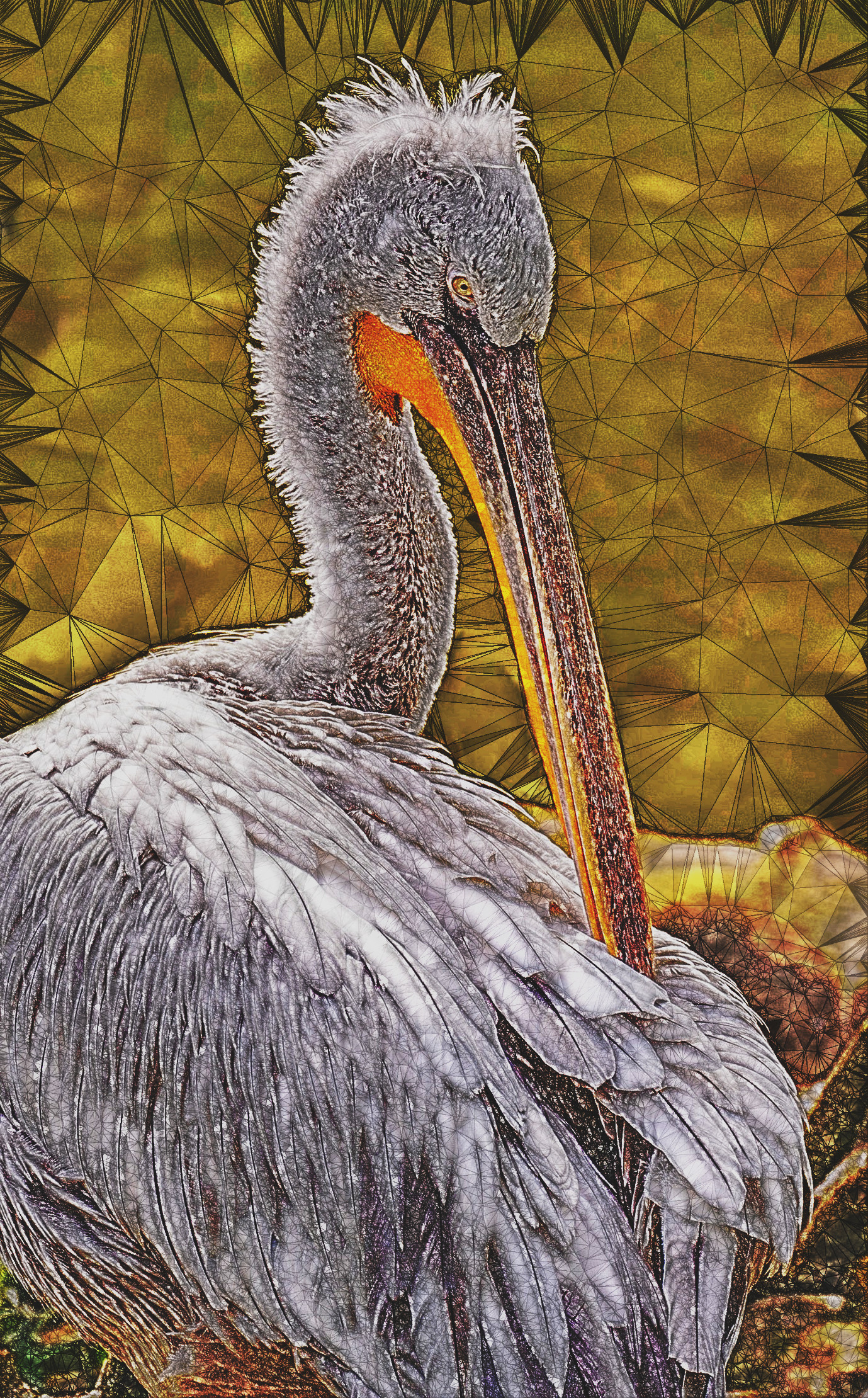 pelican-8023249_DynamicRange_DN_Artistic_and_Divide_PolyDelauney.JPG