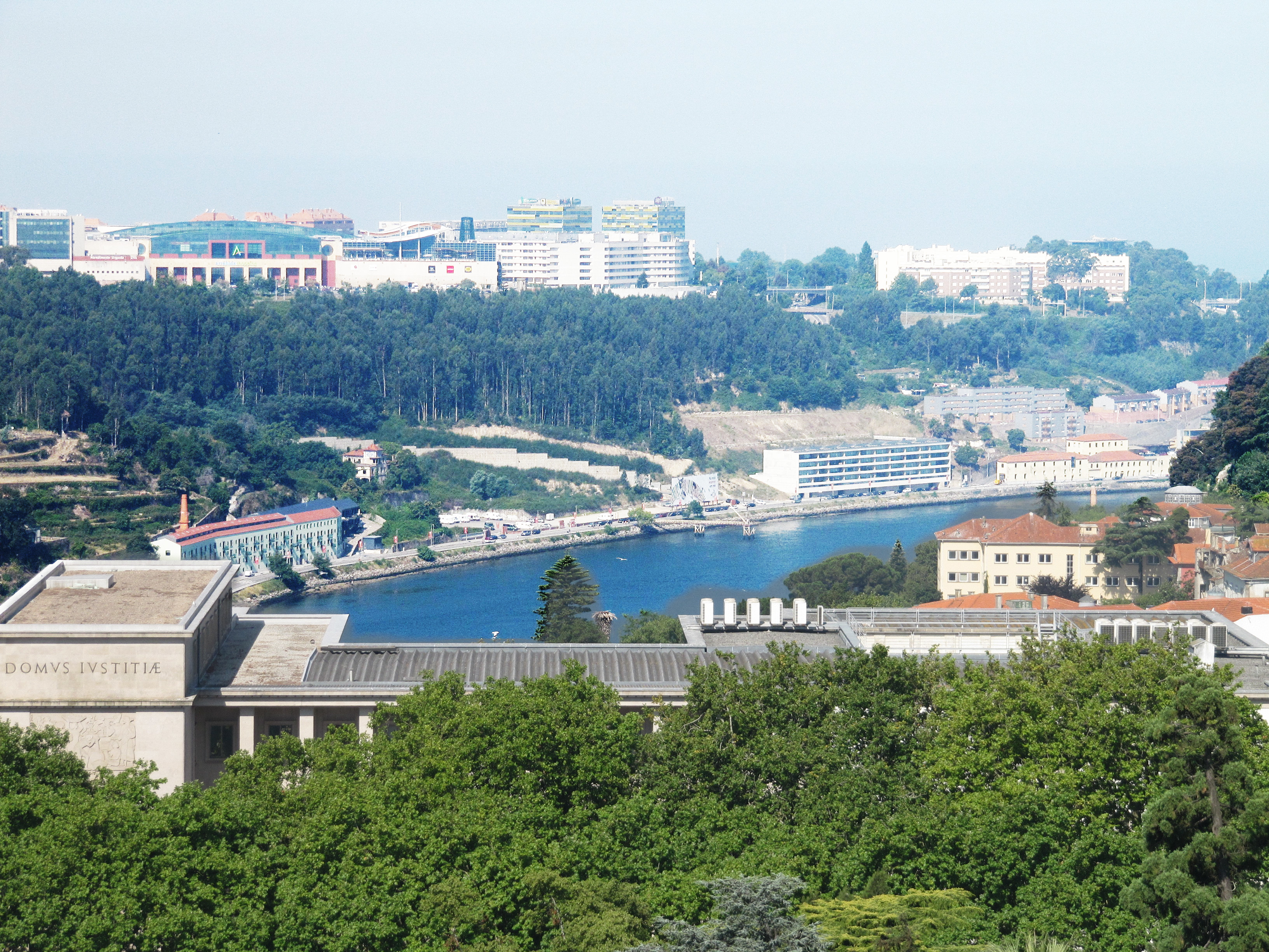IMG_4224_1.JPG