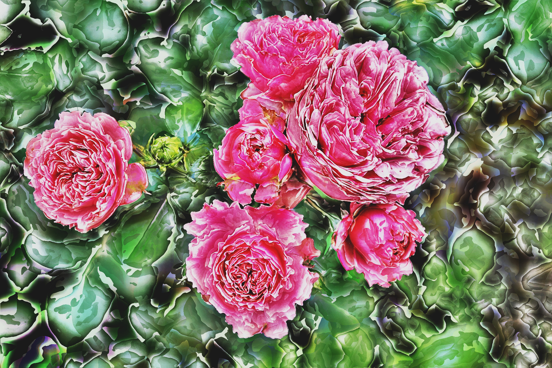 roses-3481982_LocalProcessingEqualize_DN_Artistic_and_Divide_VectorPaint.JPG