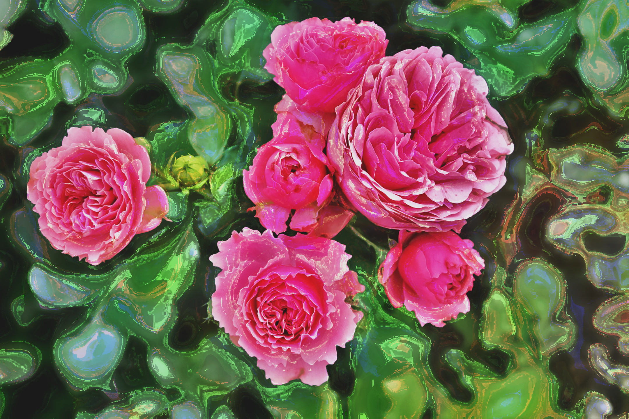 roses-3481982_LocalProcessingEqualize_DN_Artistic_and_Divide_DreamSmoothing.JPG