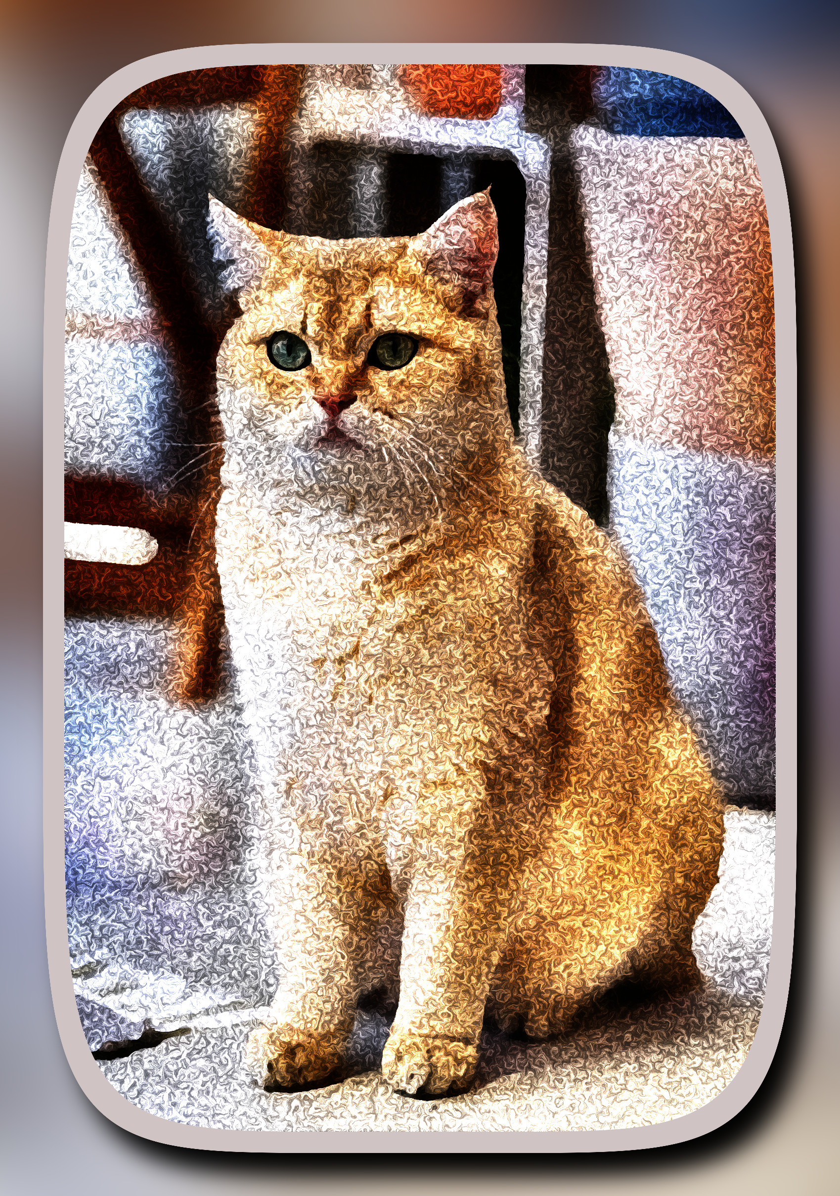 british-shorthair-8032816_LocalProcessingNormalize_DN_ ArtisticFramed_WhirlDraw.JPG