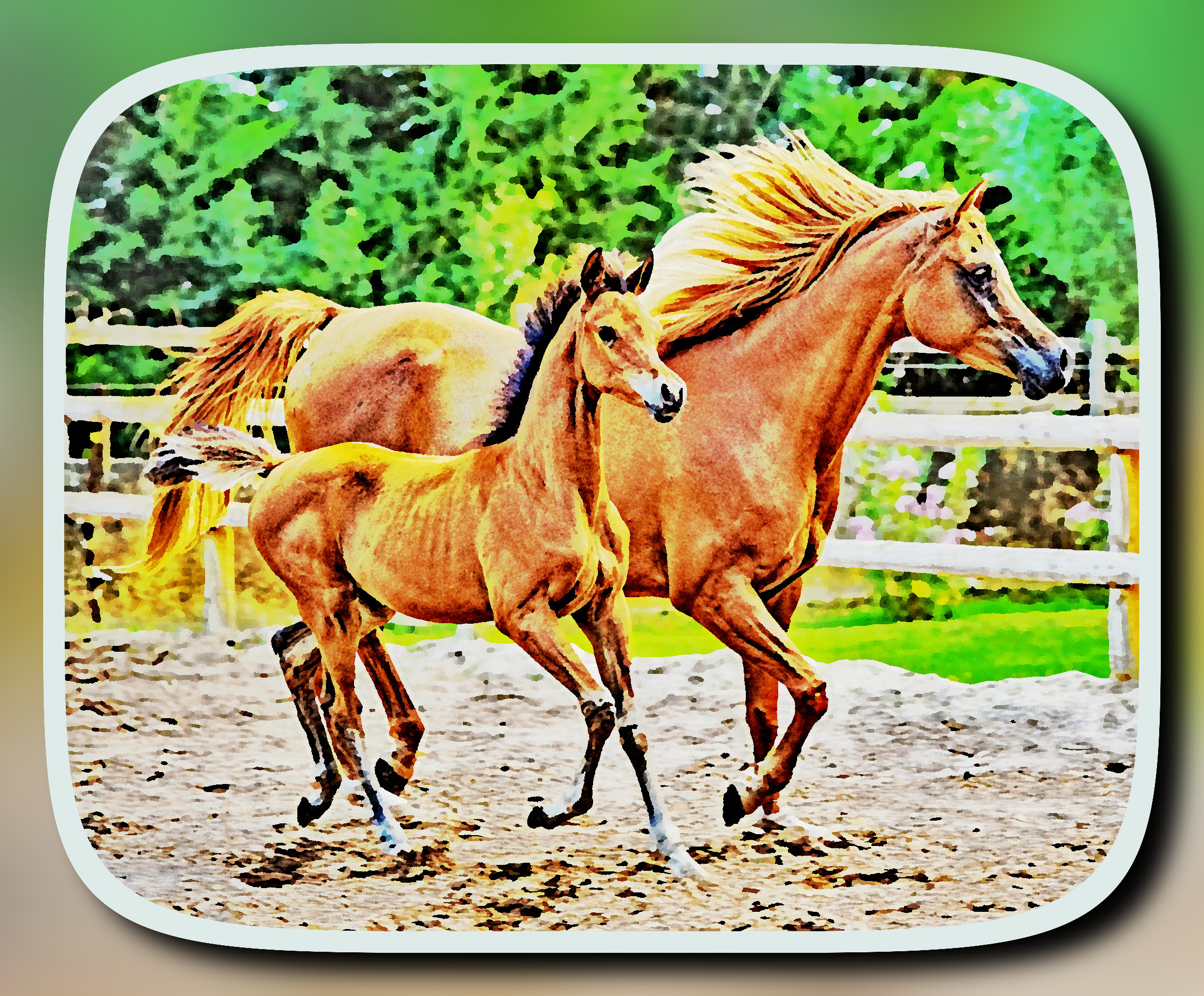 horse-8104389_DynamicRangeIncrease_DN_ ArtisticFramed_HighLightBloom.JPG