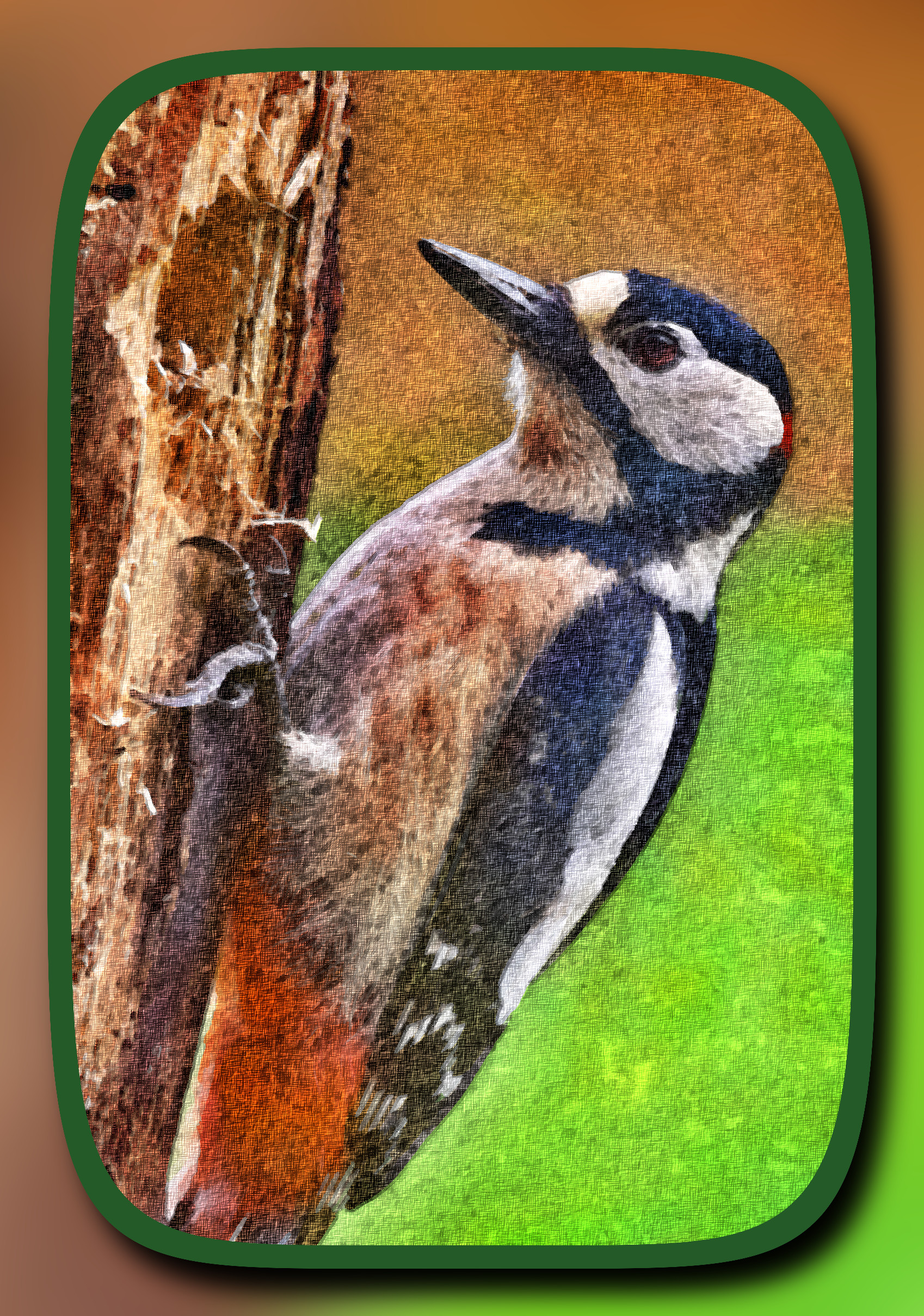 great-spotted-woodpecker-8024806_LocalProcessingEqualize_DN_ ArtisticFramed_LylePaint.JPG
