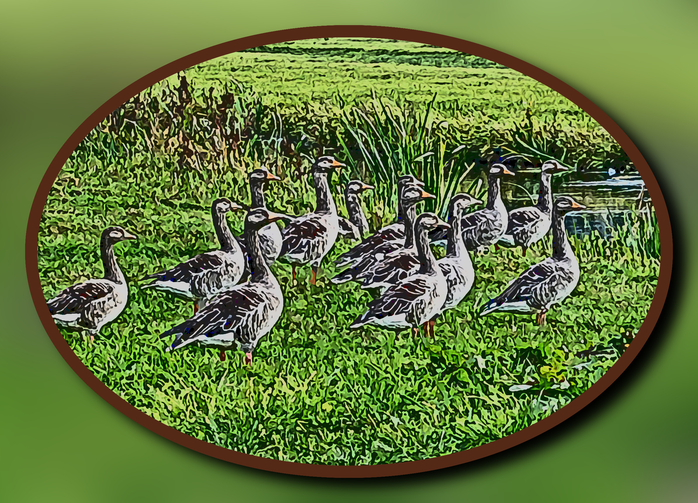 geese-7898732_LocalNormalization_DN_ ArtisticFramed_PenDrawing.JPG