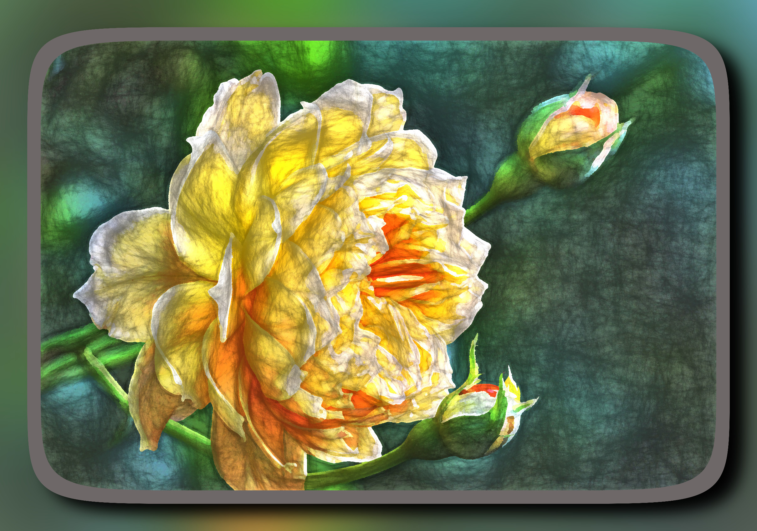 rose-7860008_DynamicRange_DN_ ArtisticFramed_Ghost.JPG