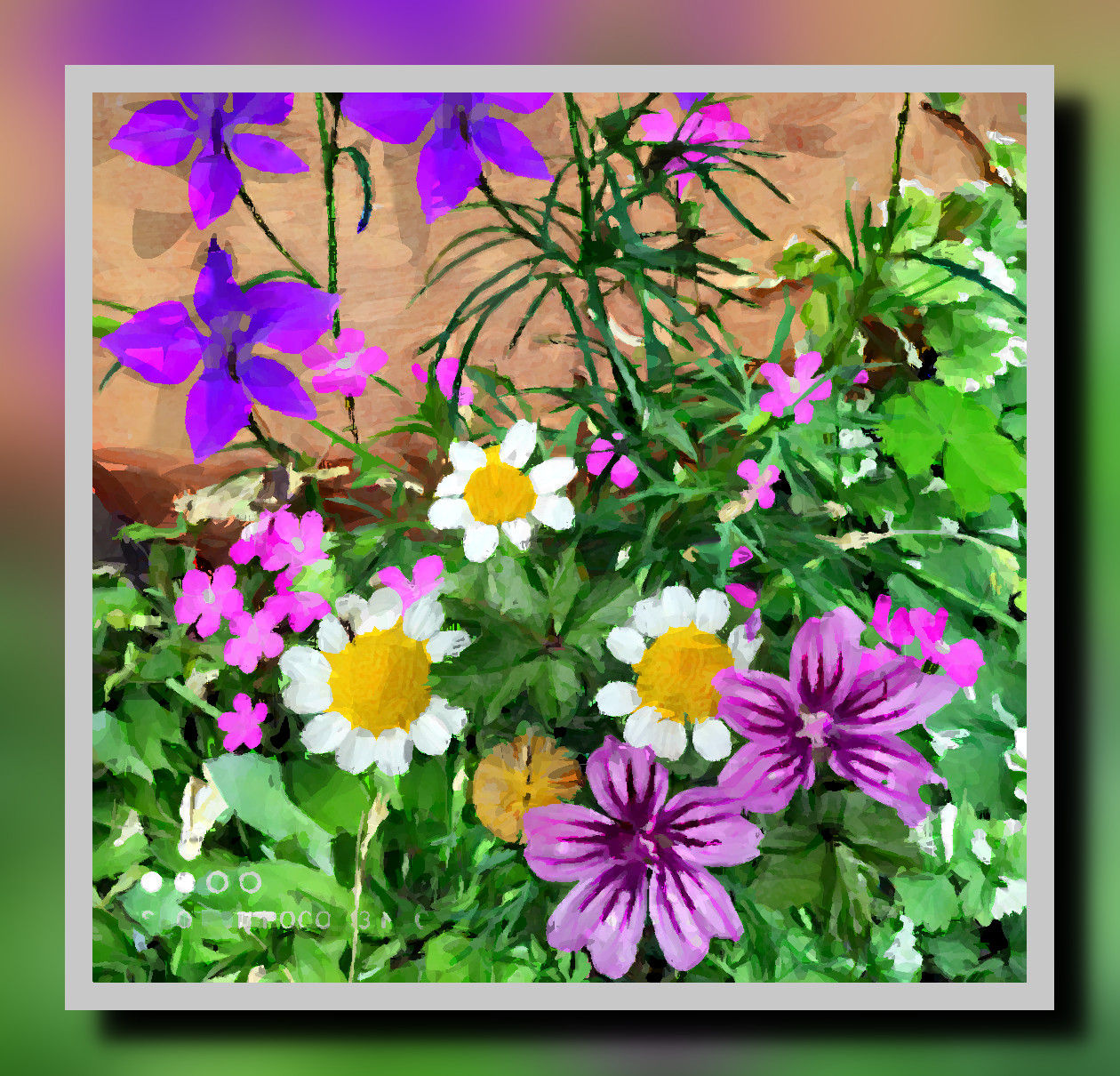 pot-flowers-ArtisticFramed-QuadtreeVar.jpg