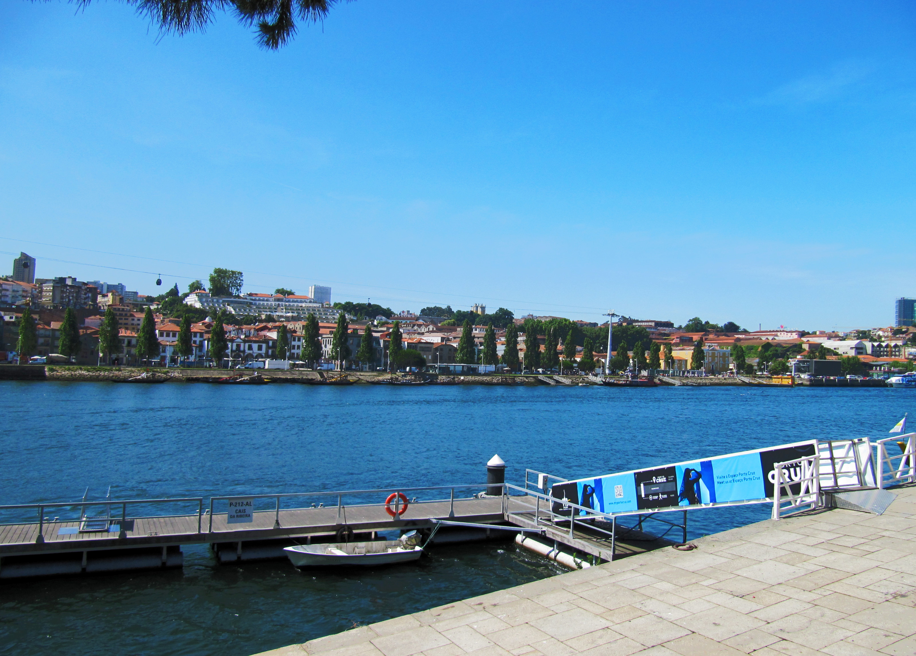 IMG_4476_1.JPG