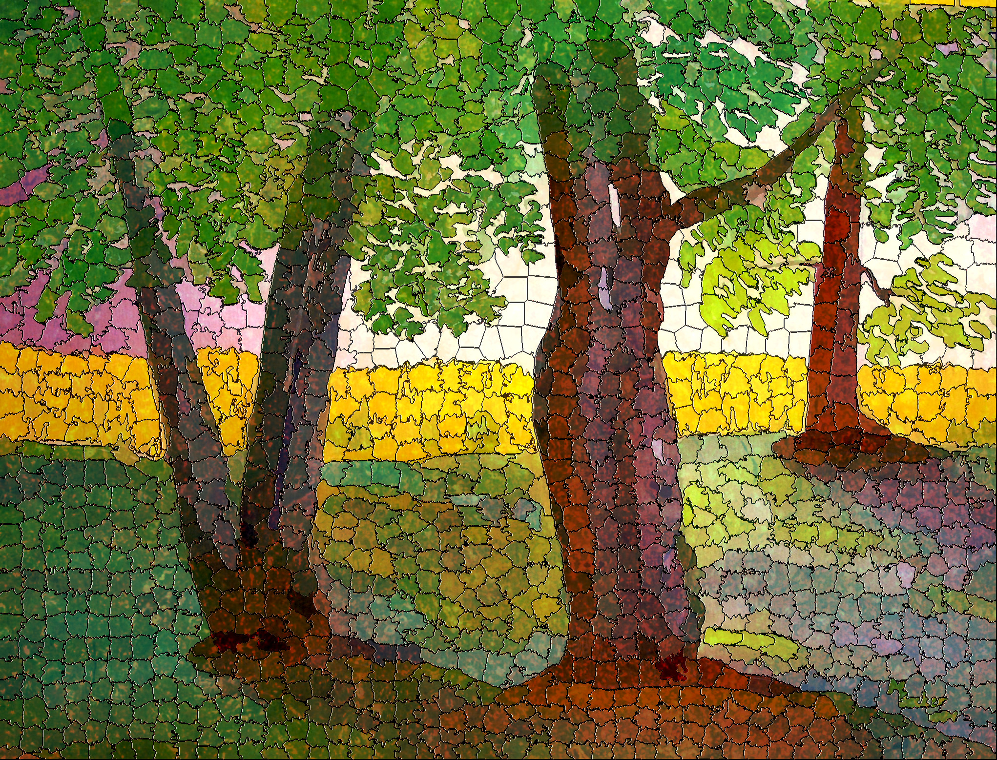 trees-21311_DCP_Dehaze_DN_SimpleMosaic.jpg