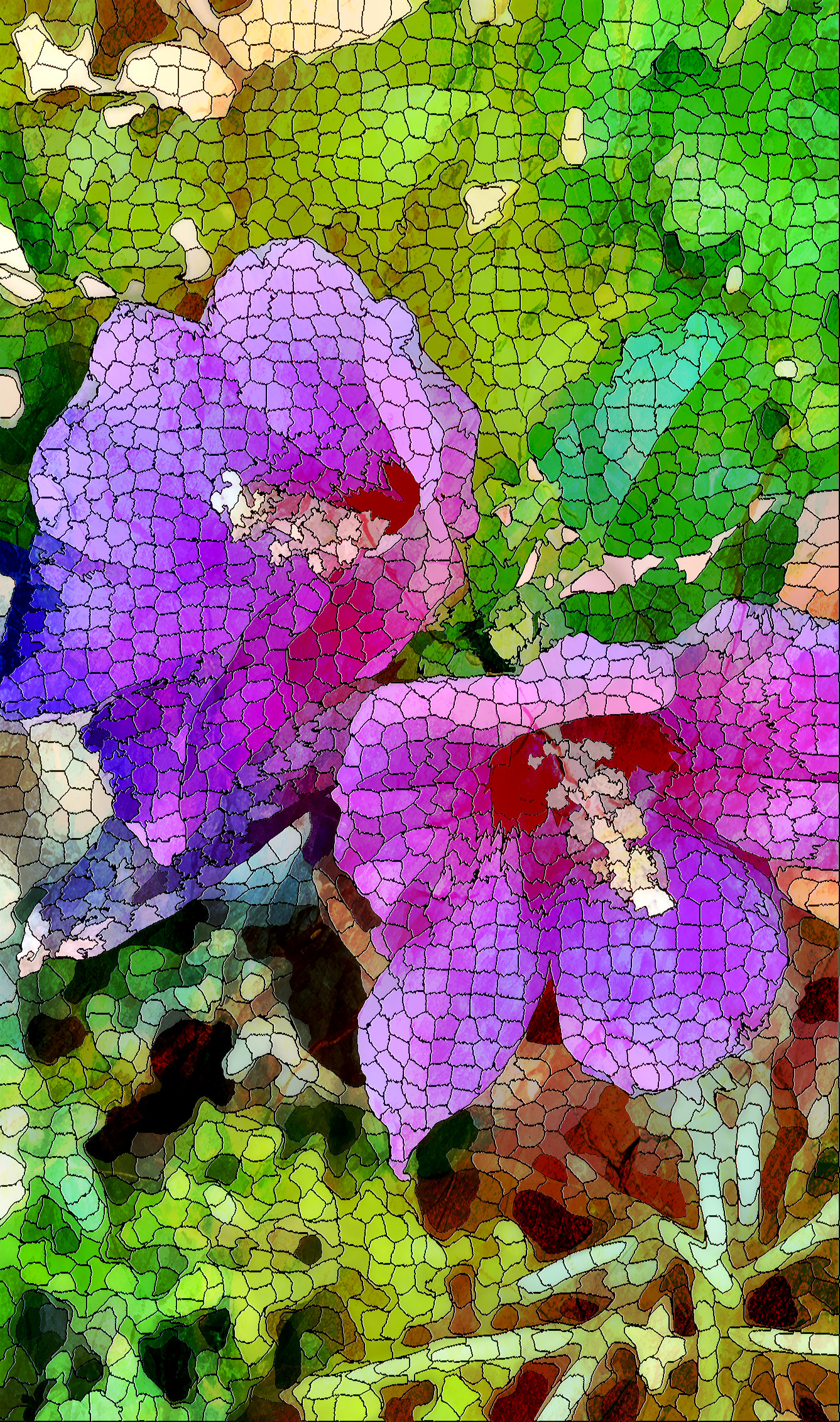 PHOTO-2023-08-28-10-54-34_LocalProcessingEqualize_DN_SimpleMosaic.jpg
