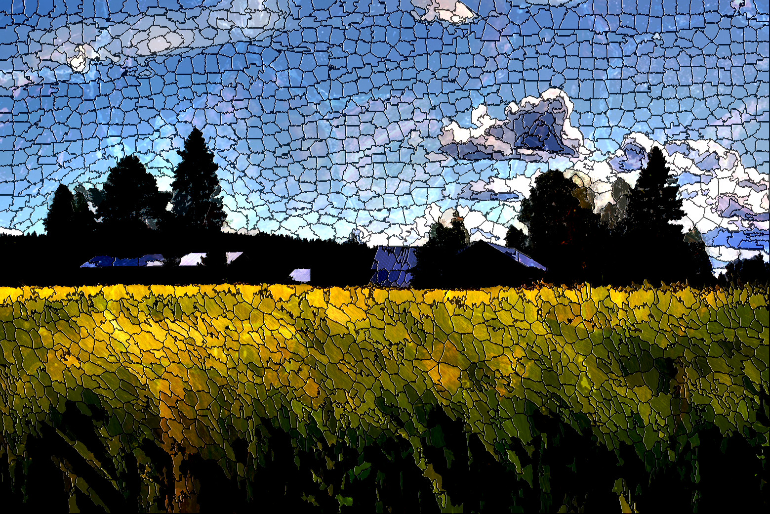 field-8139258_LocalContrast_DN_SimpleMosaic.jpg