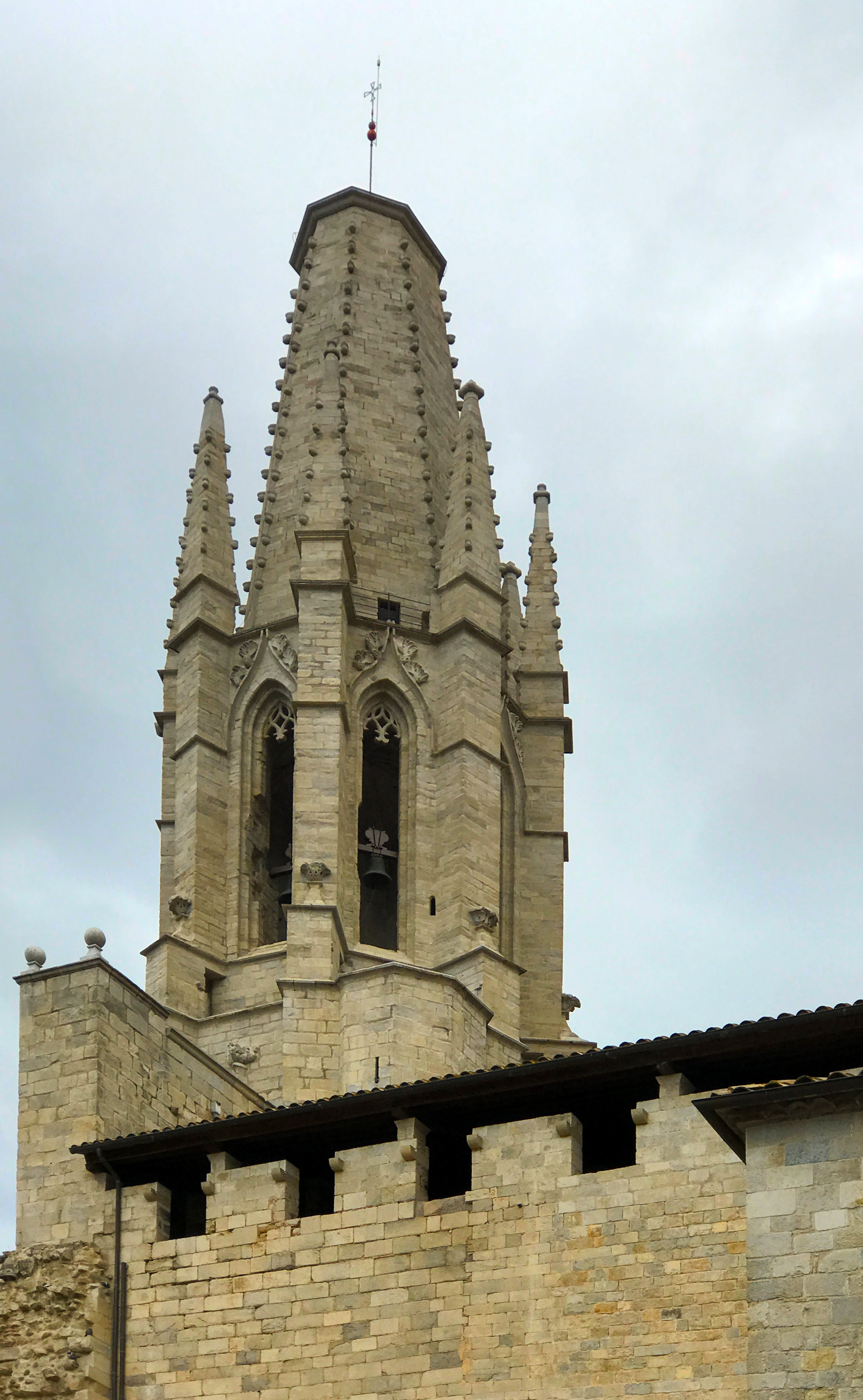 IMG_7313_1.JPG