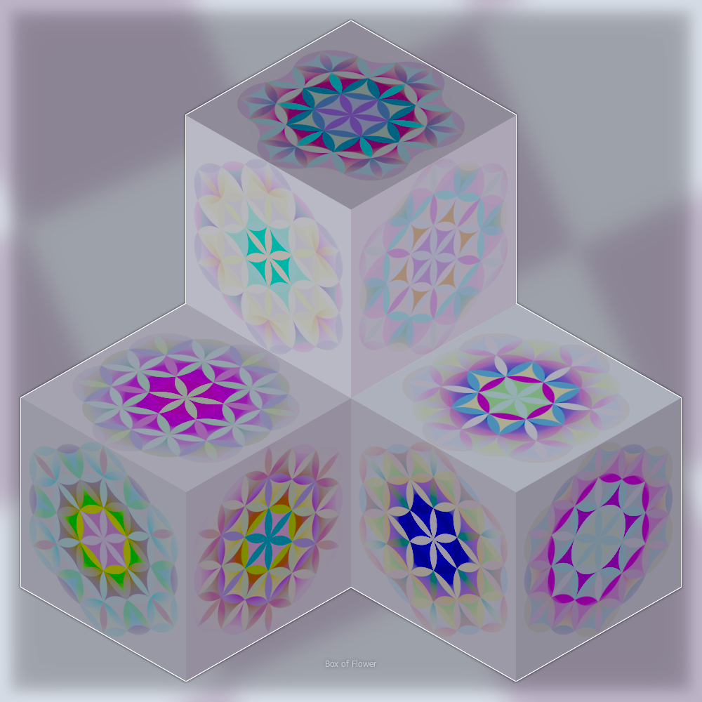 box of flower.png