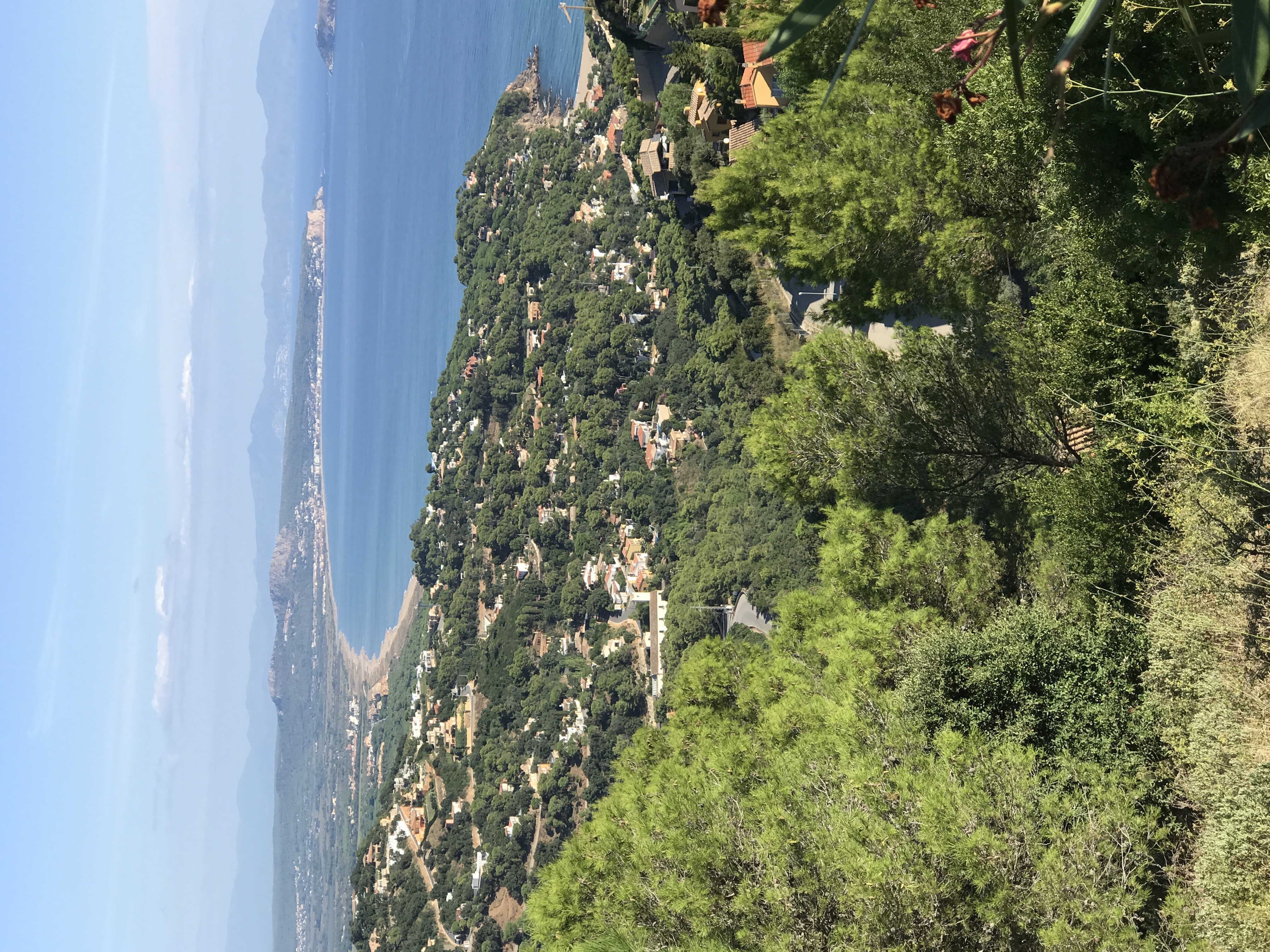 IMG_7860.JPG