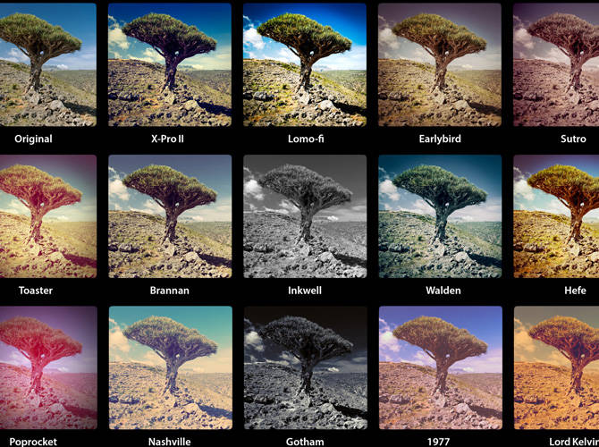 how-tochoose-the-best-instagram-filter-main-image-3492334782.jpg