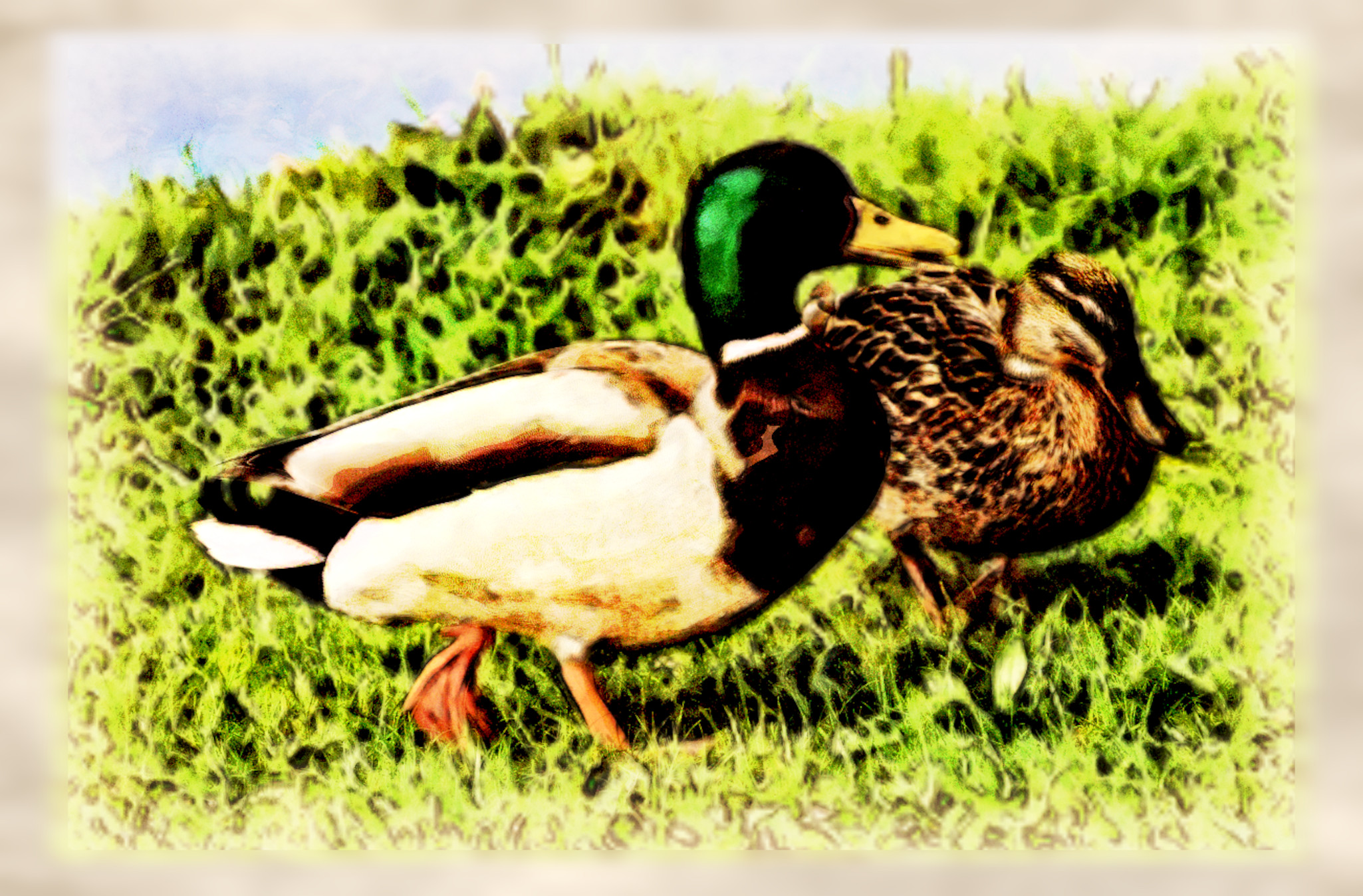 2023-10-02 09-15-10 ducks-3352081 with a Watercolor Pastels Effect 2023 (4.0,75.0,32.0,45.0,18.0,8.0,75.0,True,2).jpg
