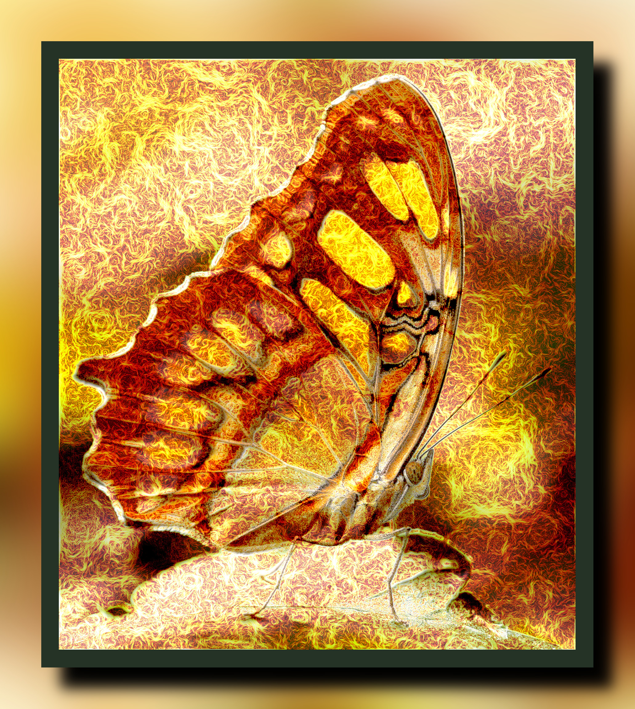 2023-10-06 14-12-36dustin-humes-kJ-ENw5bPmI-unsplash with a framed patterned effect, styleLava.jpeg