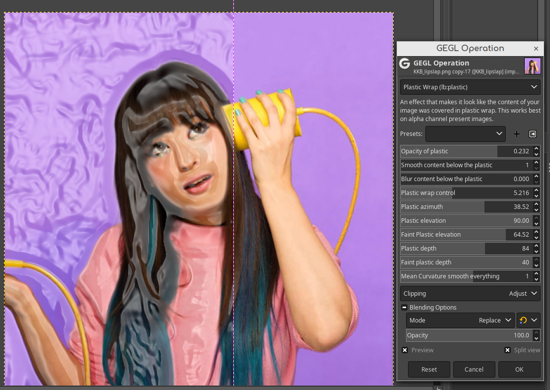 sarah_bonito_plastic_wrap.png
