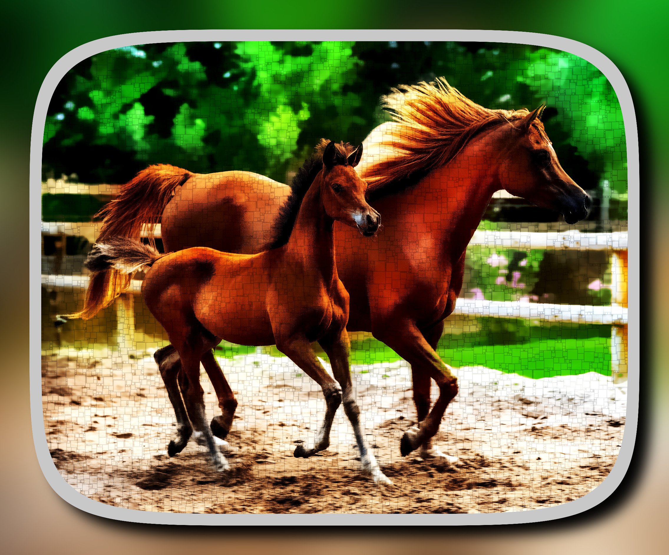 2023-10-08 10-40-04horse-8104389 with a framed patterned effect, styleBox_Fitting (prep.step choosen=Local Processing (Normalize)..jpg