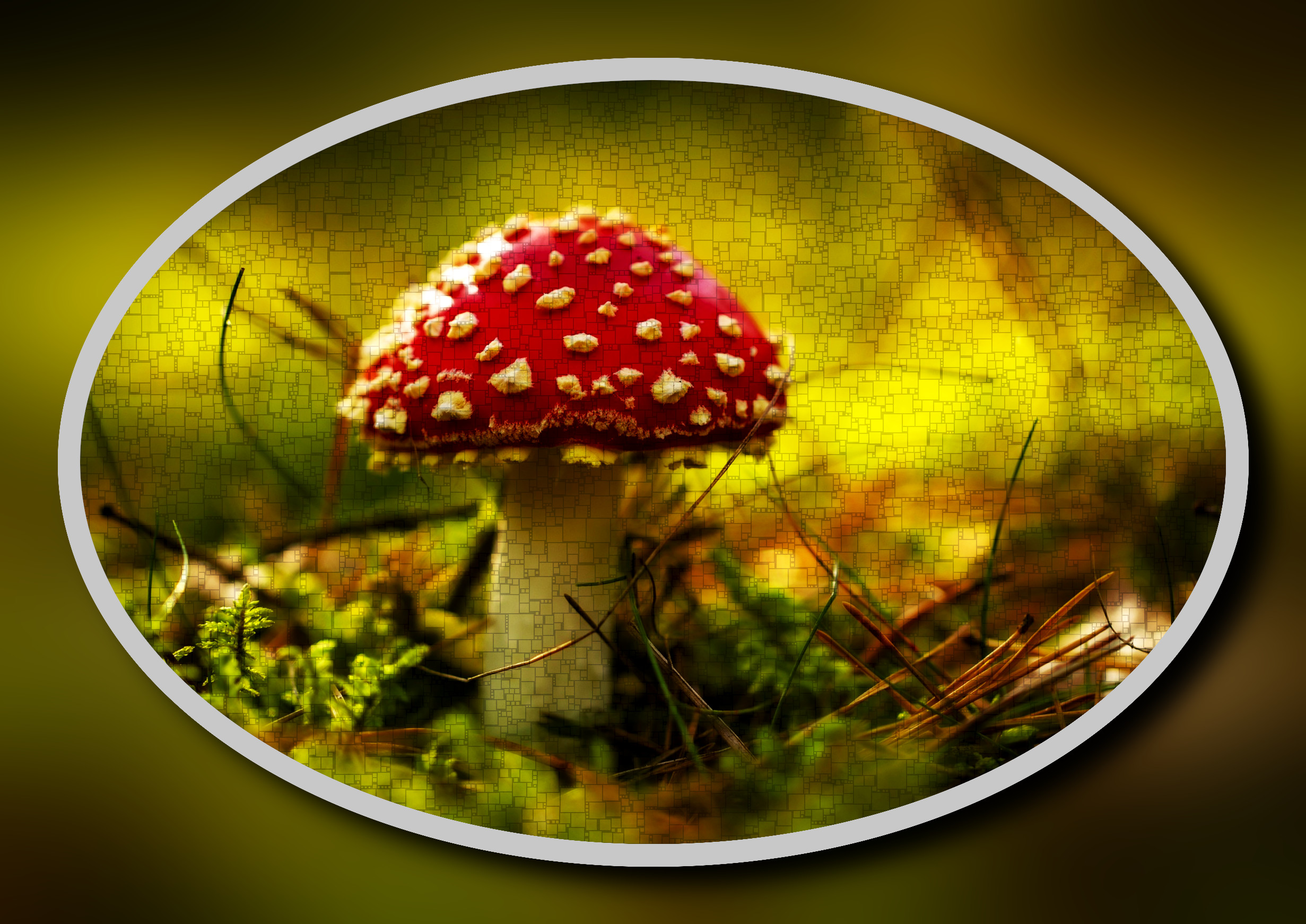 2023-10-09 07-25-39toadstool-8296596_1920 with a framed patterned effect, styleBox_Fitting.jpg