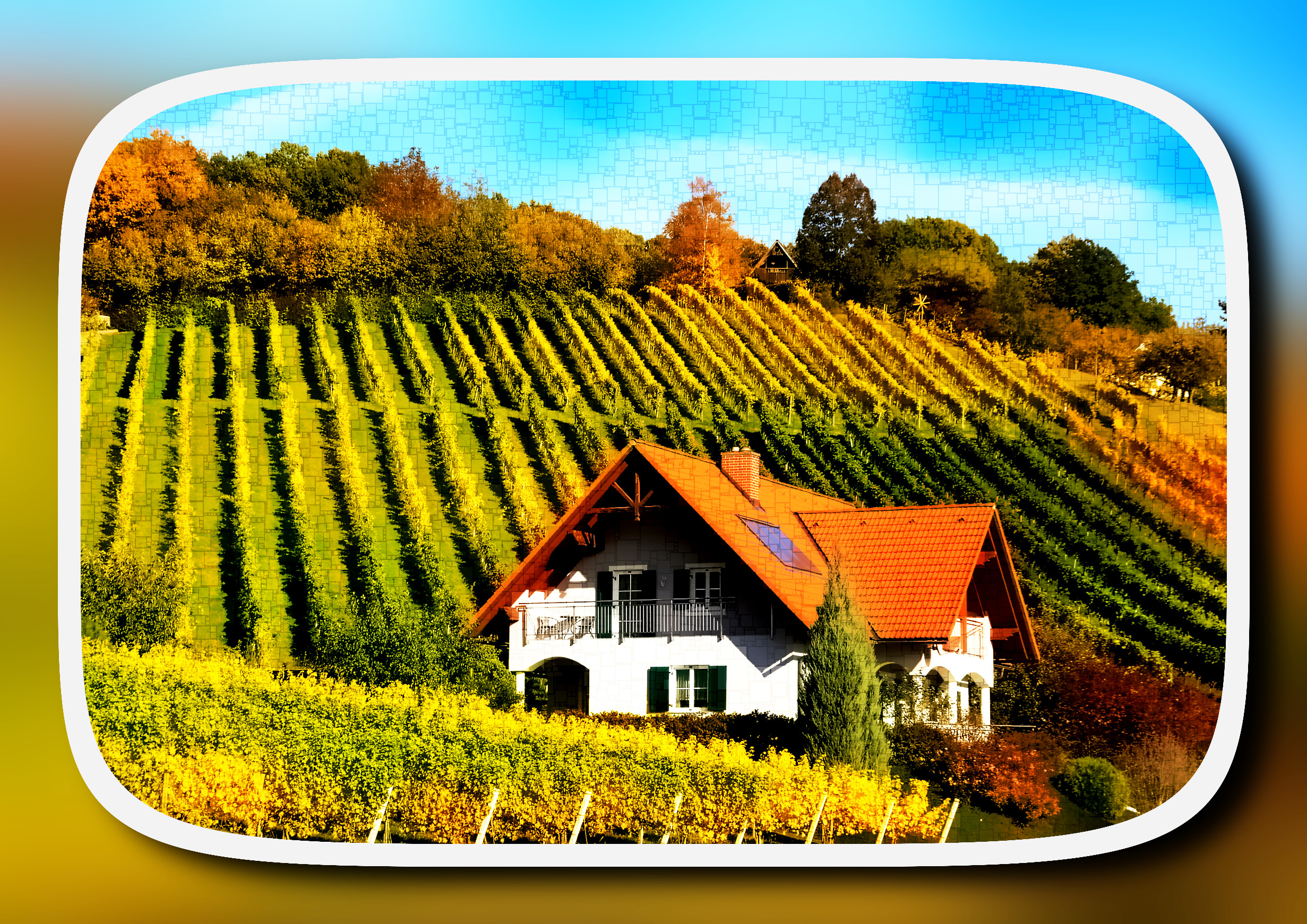 2023-10-08 20-34-59vineyard-199163 with a framed patterned effect, styleBox_Fitting (prep.step choosen=Local Processing (Normalize)..jpg
