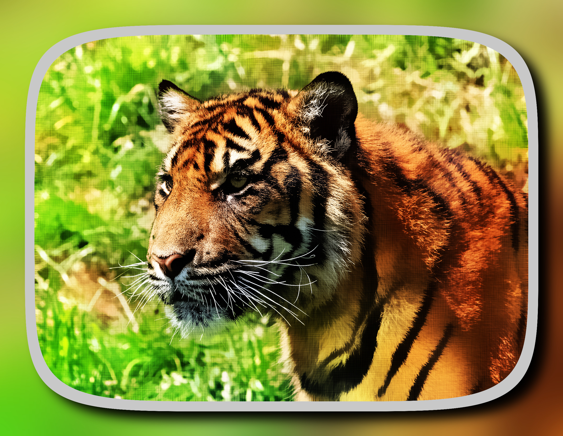 2023-10-08 20-40-43tiger-275943_1920 with a framed patterned effect, styleTexturize_Canvas (prep.step choosen=Local Processing (Normalize)..jpg