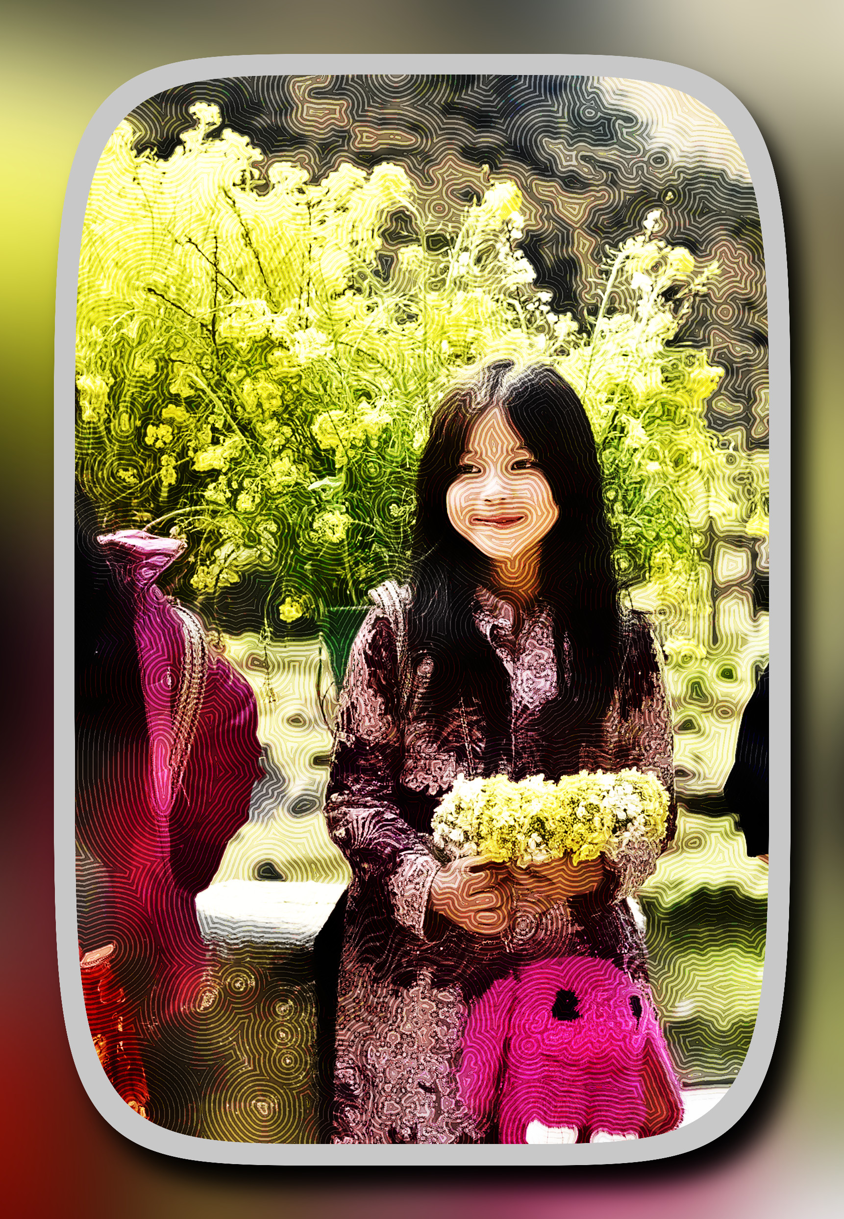 2023-10-08 20-53-05ha-giang-7860907_1280 with a framed patterned effect, styleGeneric_Halftone (prep.step choosen=Local Processing (Normalize)..jpg