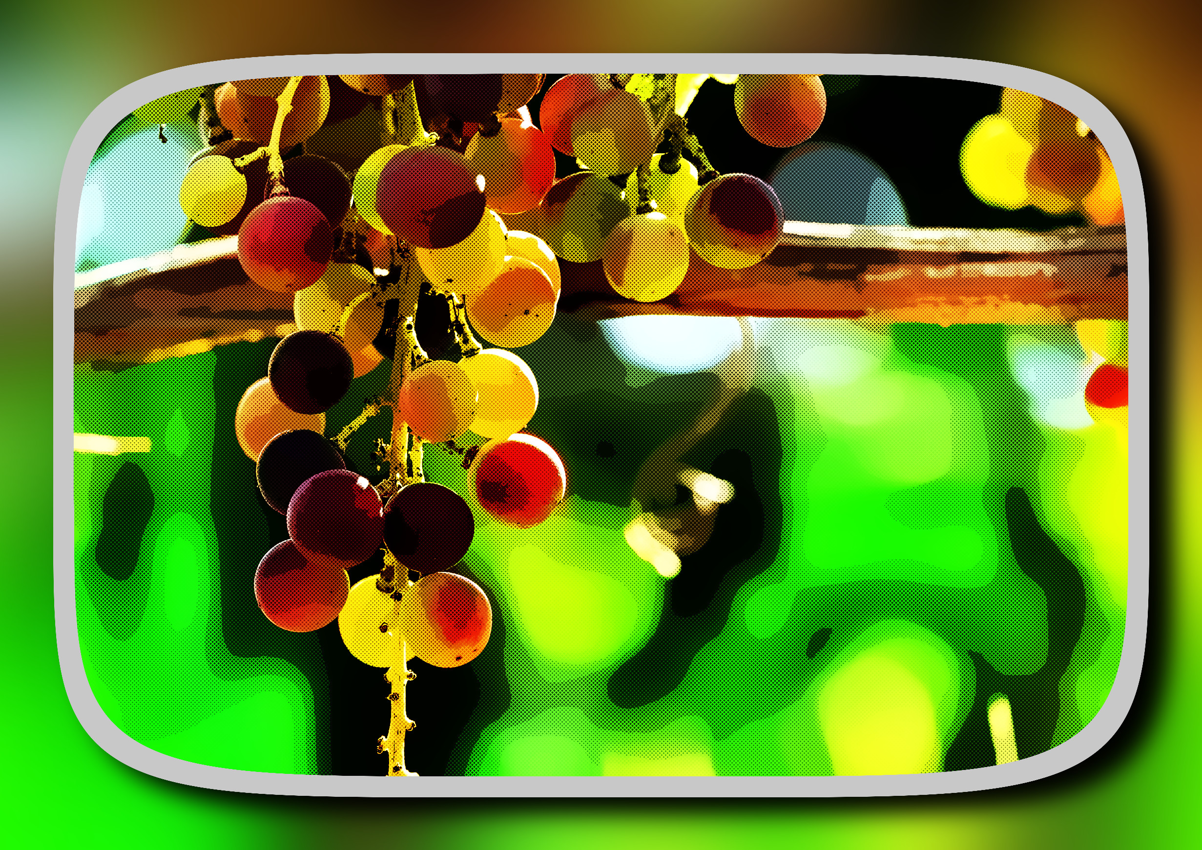 2023-10-08 20-51-55grapes-4394378_1920 with a framed patterned effect, styleHalftone (prep.step choosen=Local Processing (Normalize)..jpg