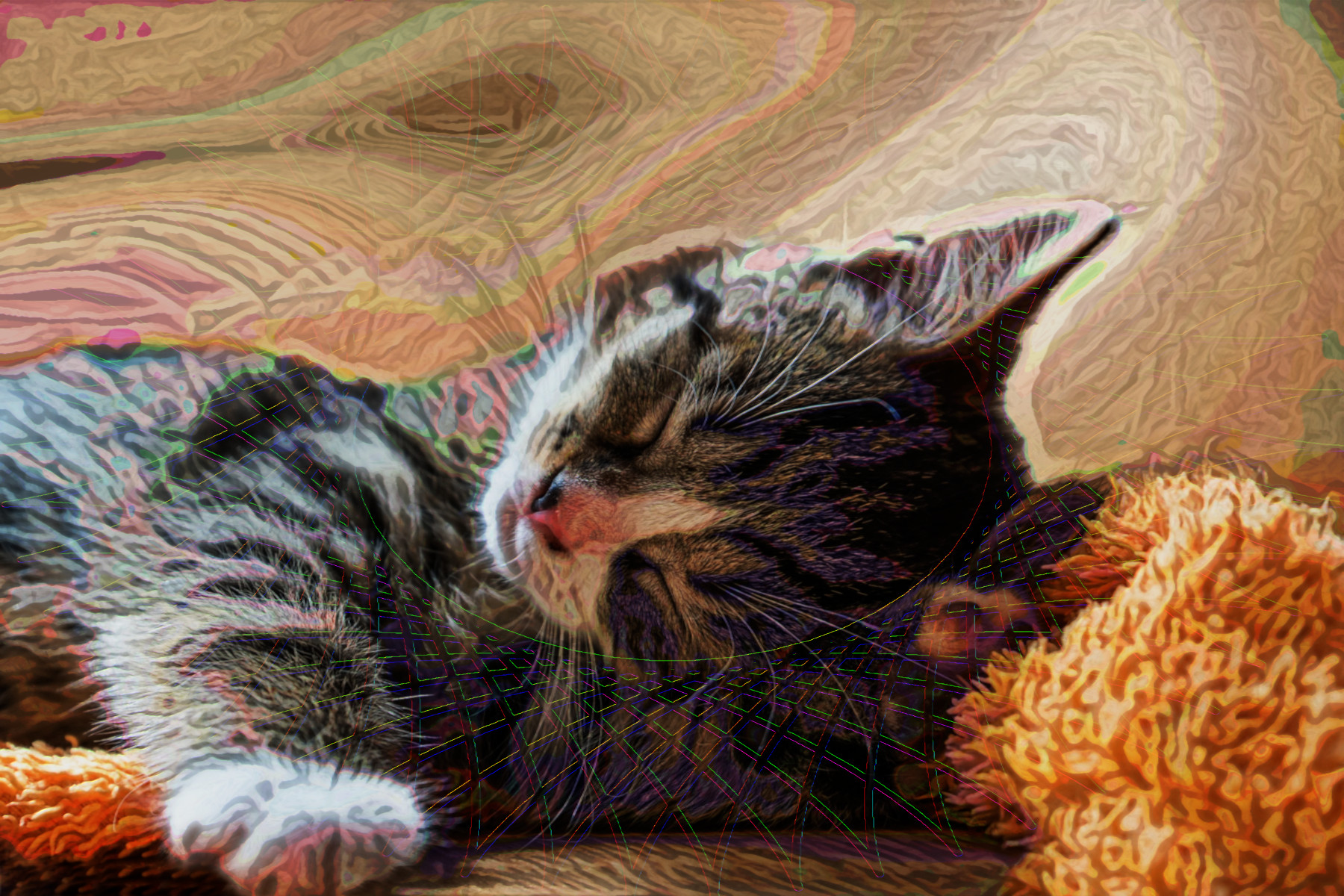 2023-10-14 20-56-26 cat-8130334_1920 with a Quick Effect O (Hypotrochoid) (abstr.mode=LAYER_MODE_SOFTLIGHT.jpg
