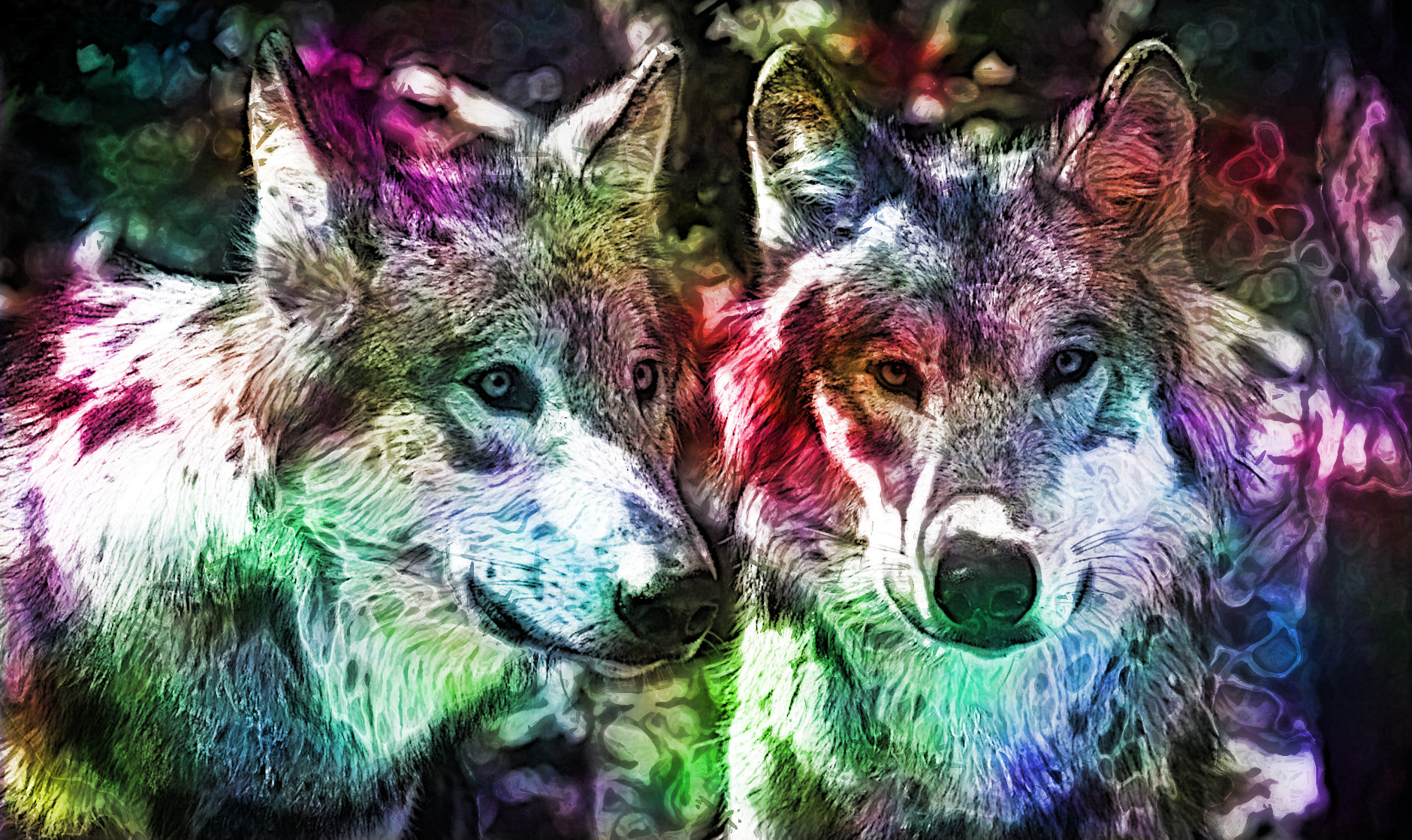 2023-10-18 08-49-01 wolf-2984865_1280 with a Quick Effect T (Plasma) (abstr.mode=LAYER_MODE_HARDLIGHT.jpg