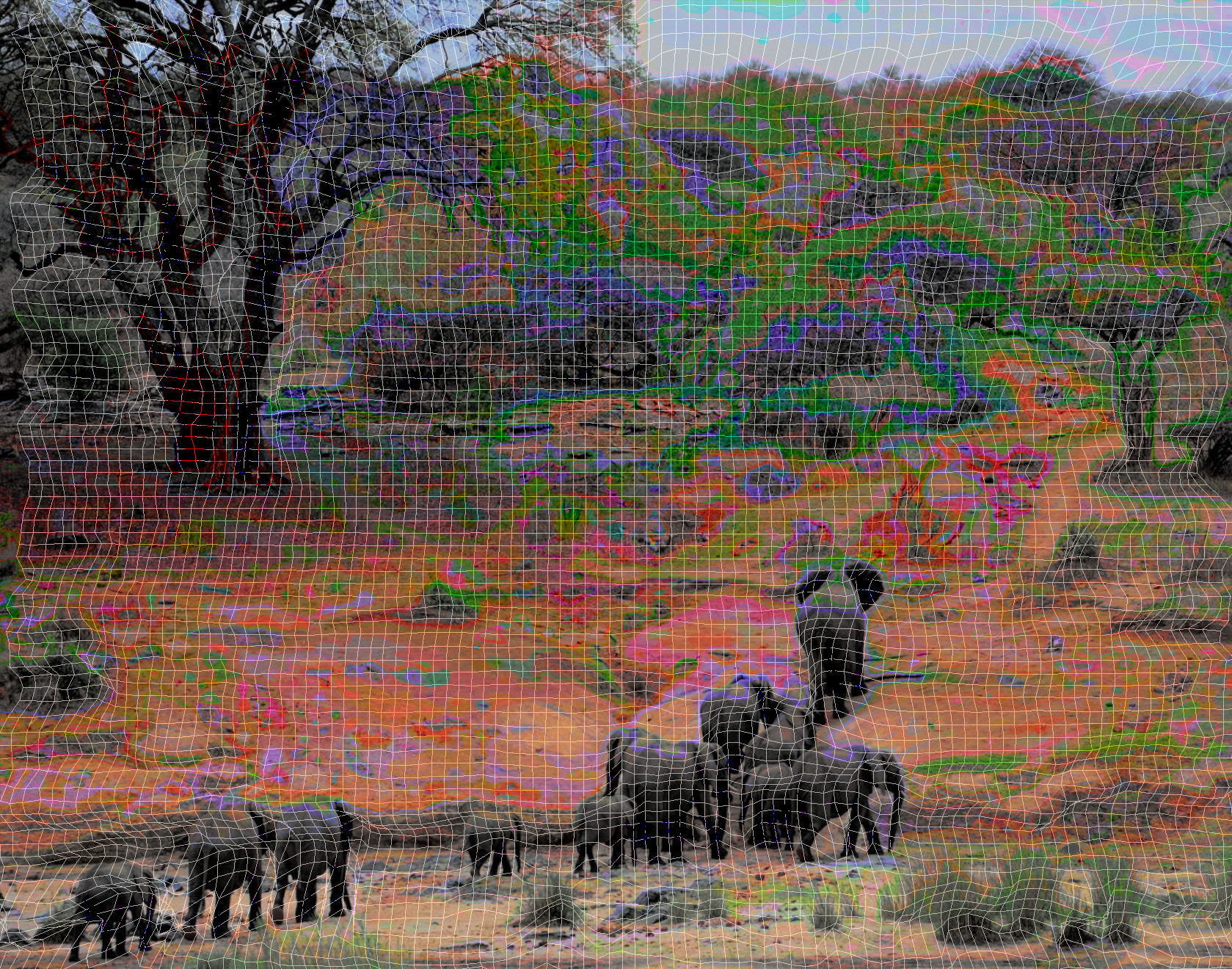 2023-10-15 11-31-03 pexels-frans-van-heerden-631317 with a Quick Effect Z (Wiremap) (abstr.mode=LAYER_MODE_LCH_COLOR.jpg