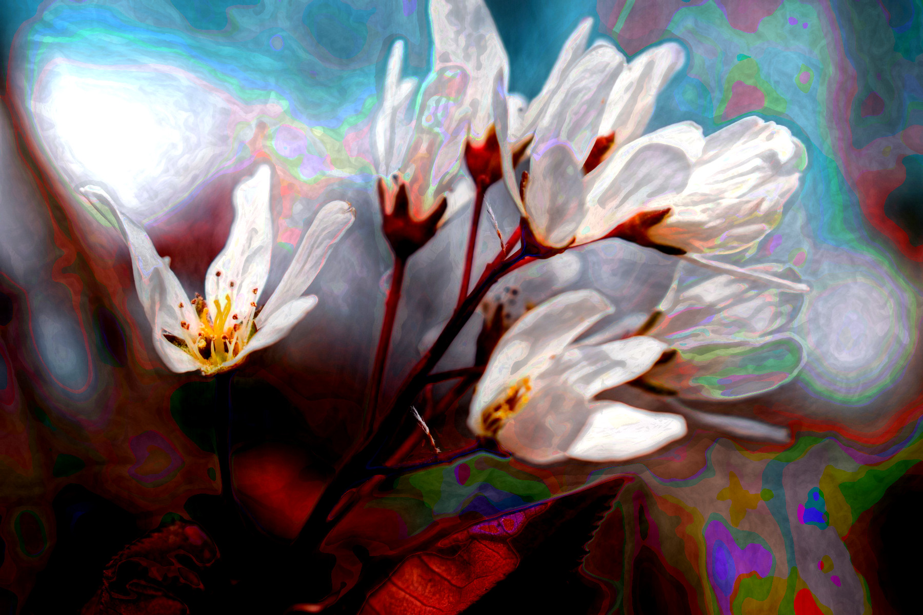 2023-10-16 18-00-37 shadbush-5114574_1920 with a Quick Effect A (Fragment Blur) (abstr.mode=LAYER_MODE_MERGE.jpg