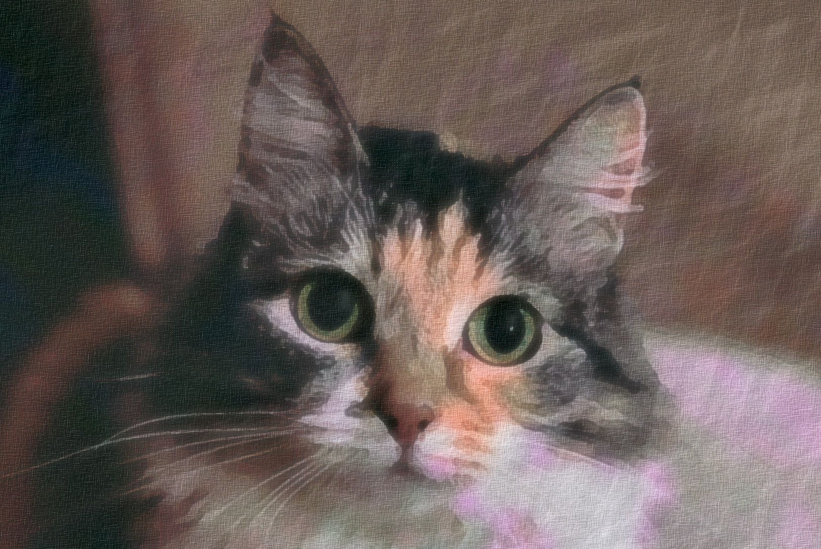 2023-10-27 16-25-46 cat-4758698, as a free paint (2023), patterns set=FFLS_, 16 colours, texture soft, top pattern ghost, posteffect colors vibrance.jpg