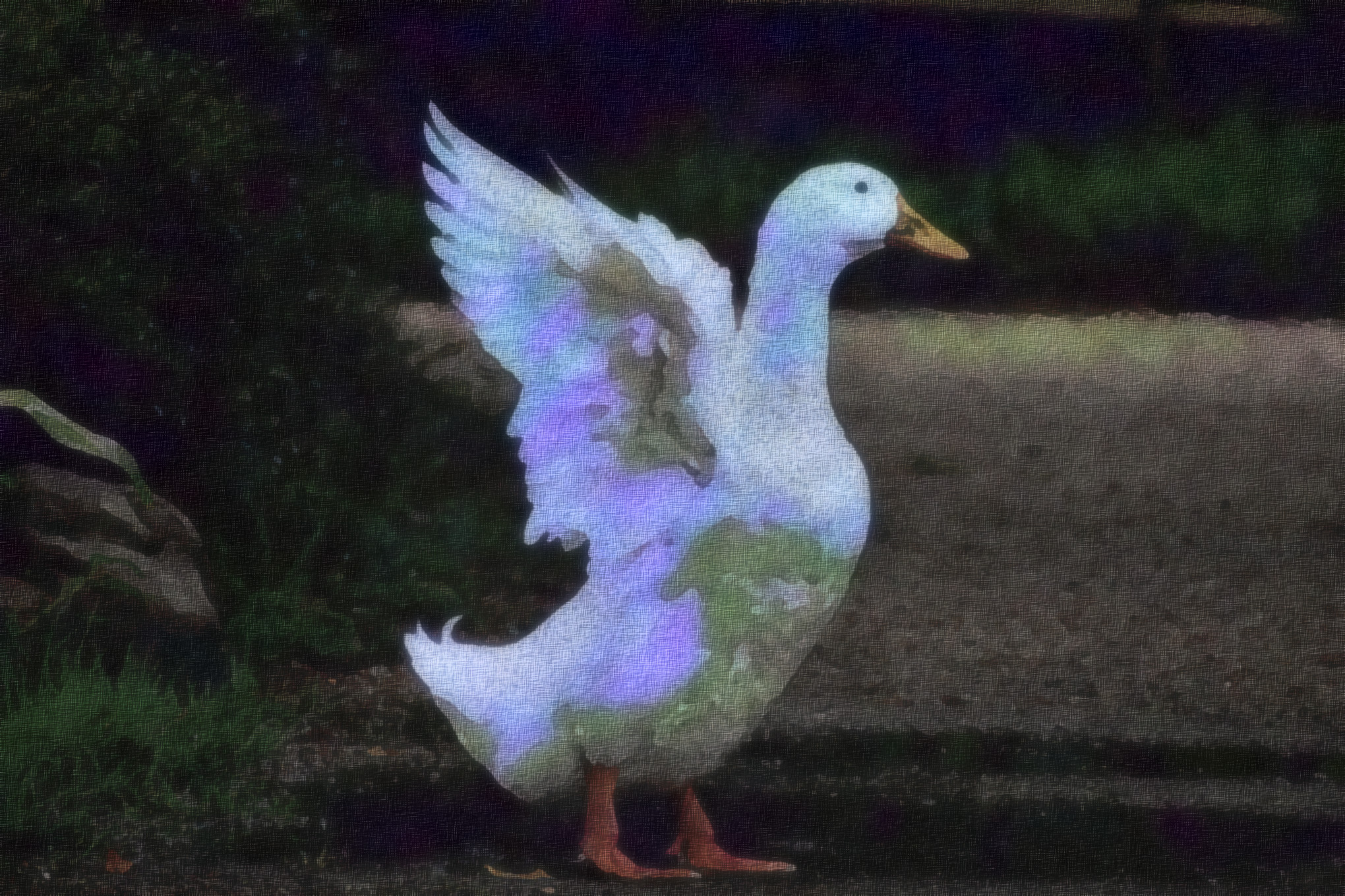2023-10-29 09-57-34 duck-6848584, as a free paint (2023), patterns set=FFLS_P, 16 colours, texture soft, top pattern crystal, posteffect aurora.jpg