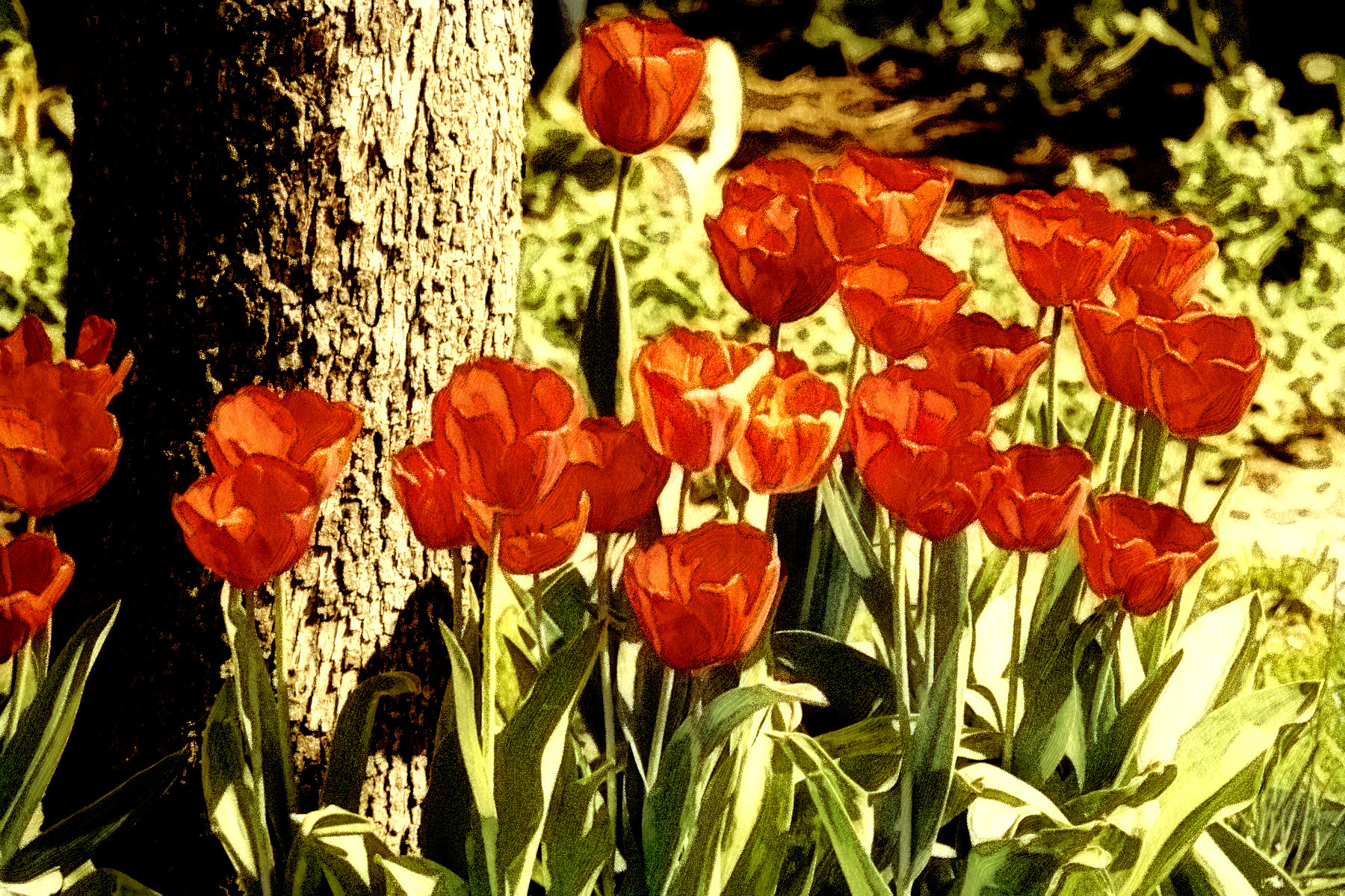 2023-11-03 07-29-23 tulips-4221366_1920 with a Free Paint Effect, paint Morpho, strokes Constr, contour Chalk, poster Comic, toppat HLocks , postpro Sepia.jpg