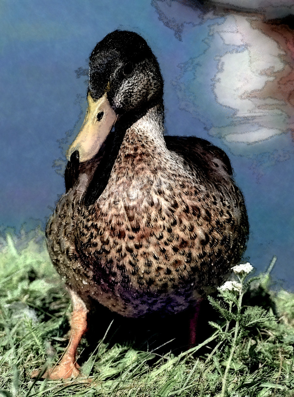 2023-11-03 17-12-21 mallard-3609130_1280 with a Free Paint Effect, paint Vector, strokes Mosaic, contour Edges, poster tbd, toppat Crystal, postpro B&W.jpg