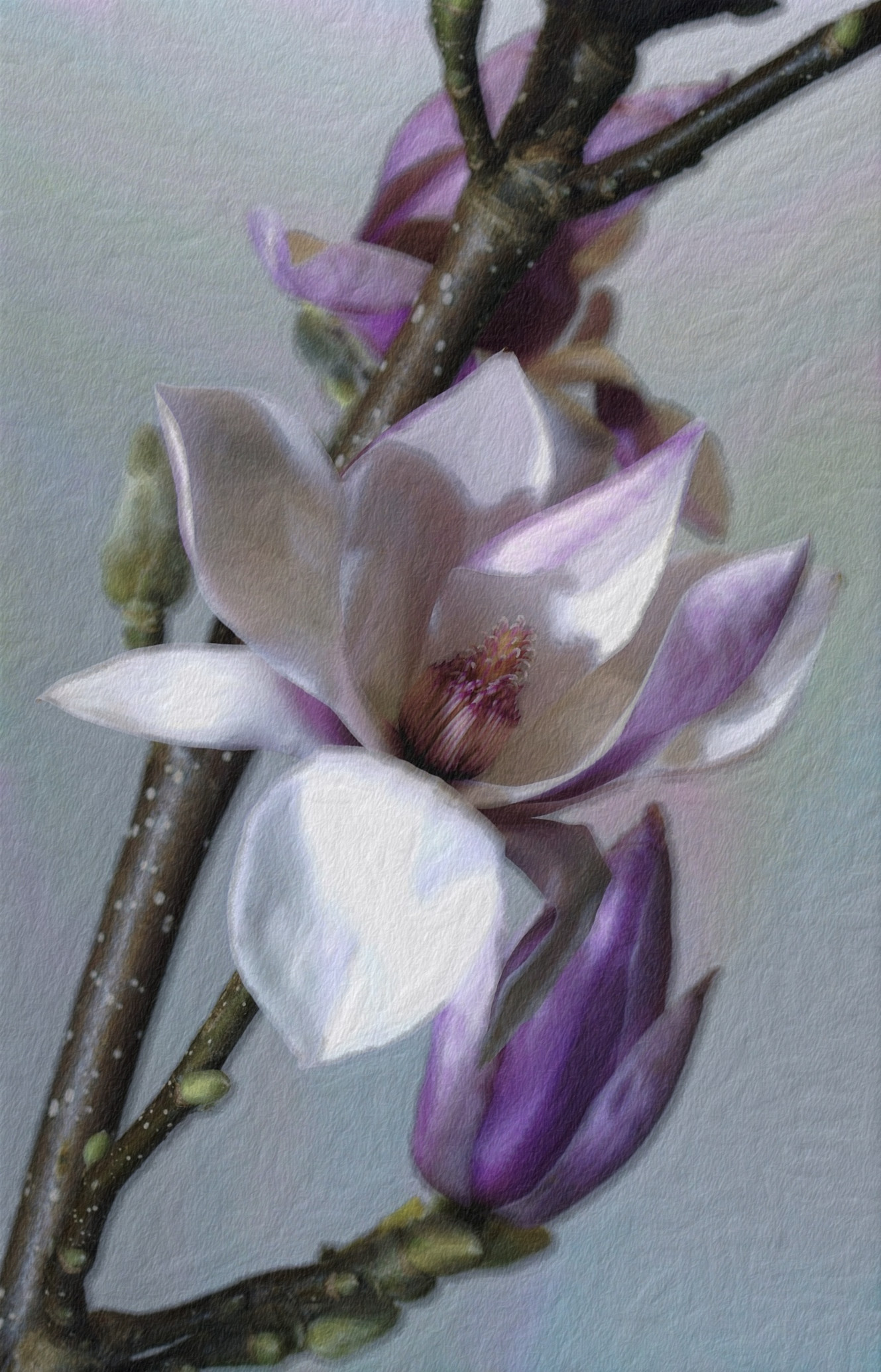 2023-11-05 11-58-43 flower-3125752_1920 with a Free Paint Effect, paint Kuwahara, strokes Brushify, contour Edges, poster GmPoster, toppat Brushify, postpro Vibrance.jpg