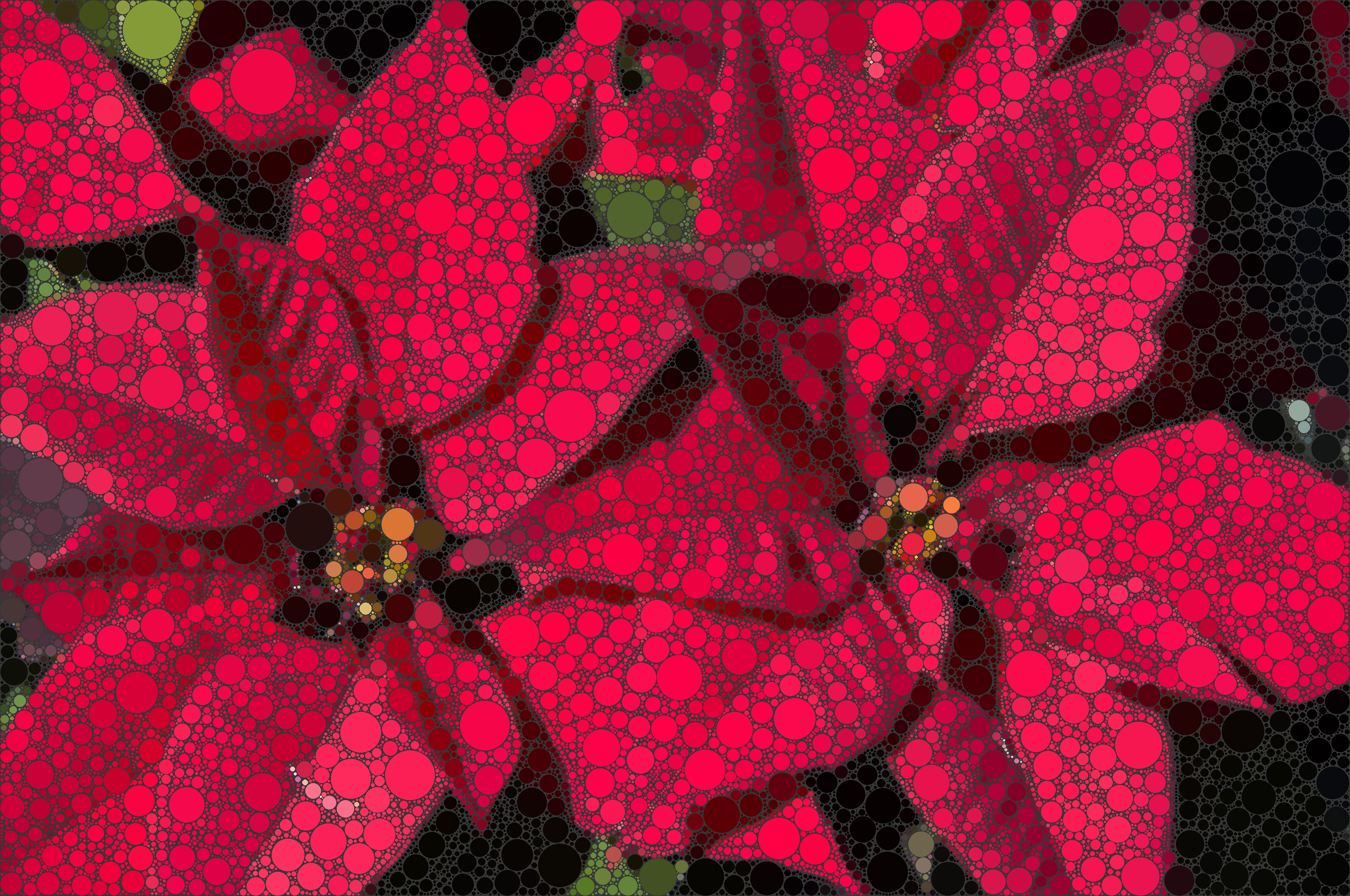 Circlismic Poinsettas.png