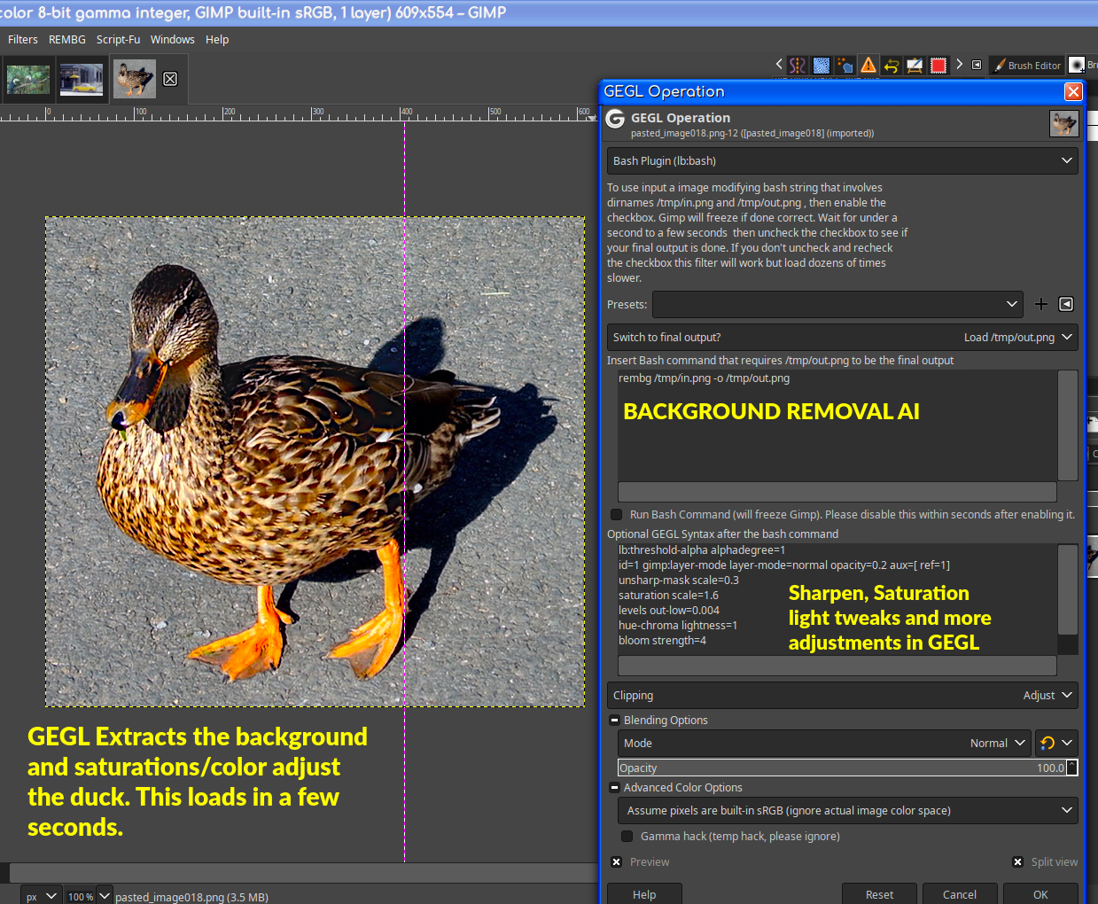 duck_saturate.png