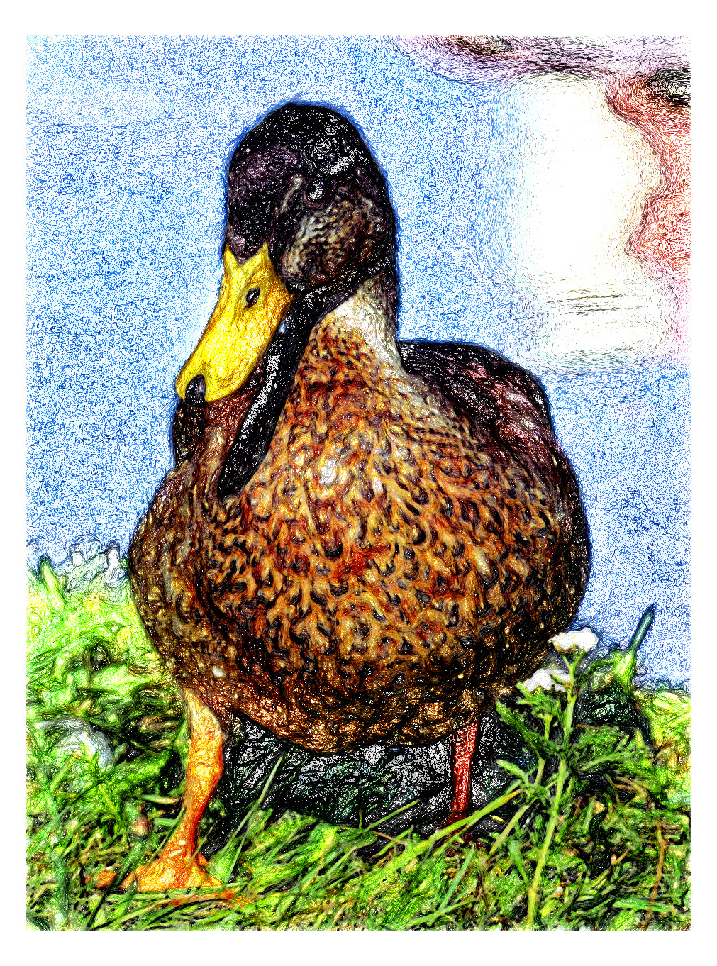 2024-01-03 10-06-35 mallard-3609130_1280 with a Drawing Effect (True,6,8)_G_I.jpg